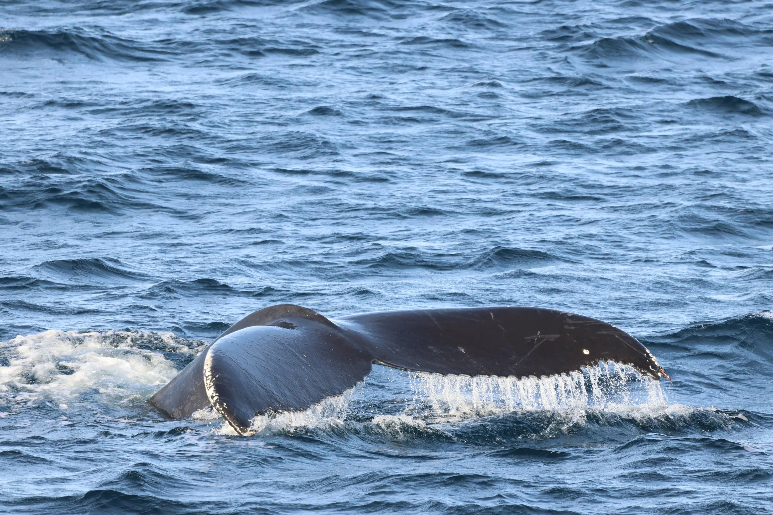 Sunday, 22 February 2026