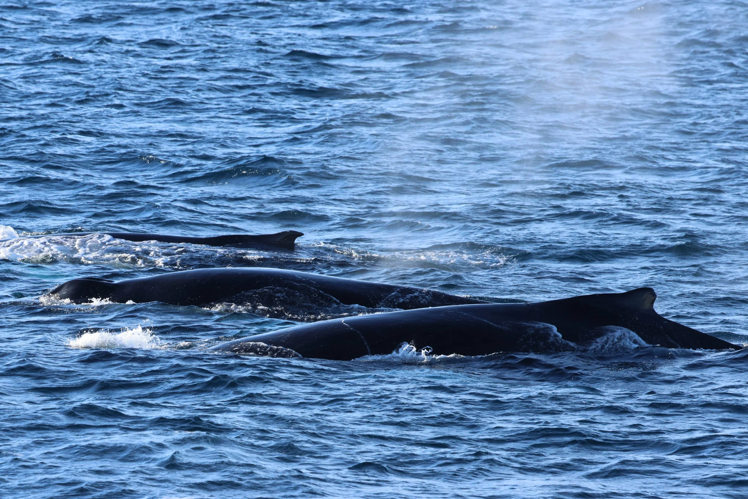 Saturday, 21 February 2026