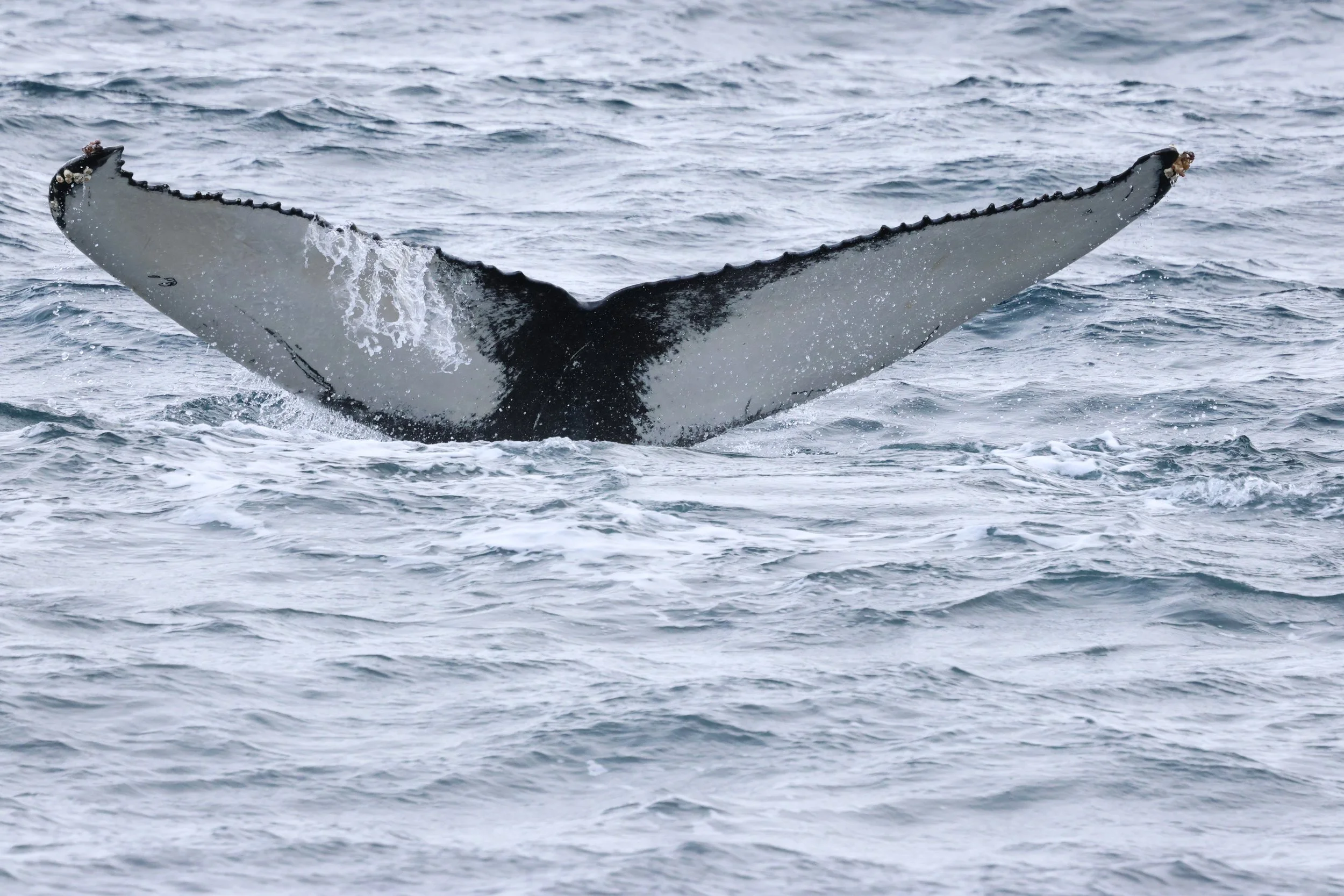 Wednesday, 25 February 2026