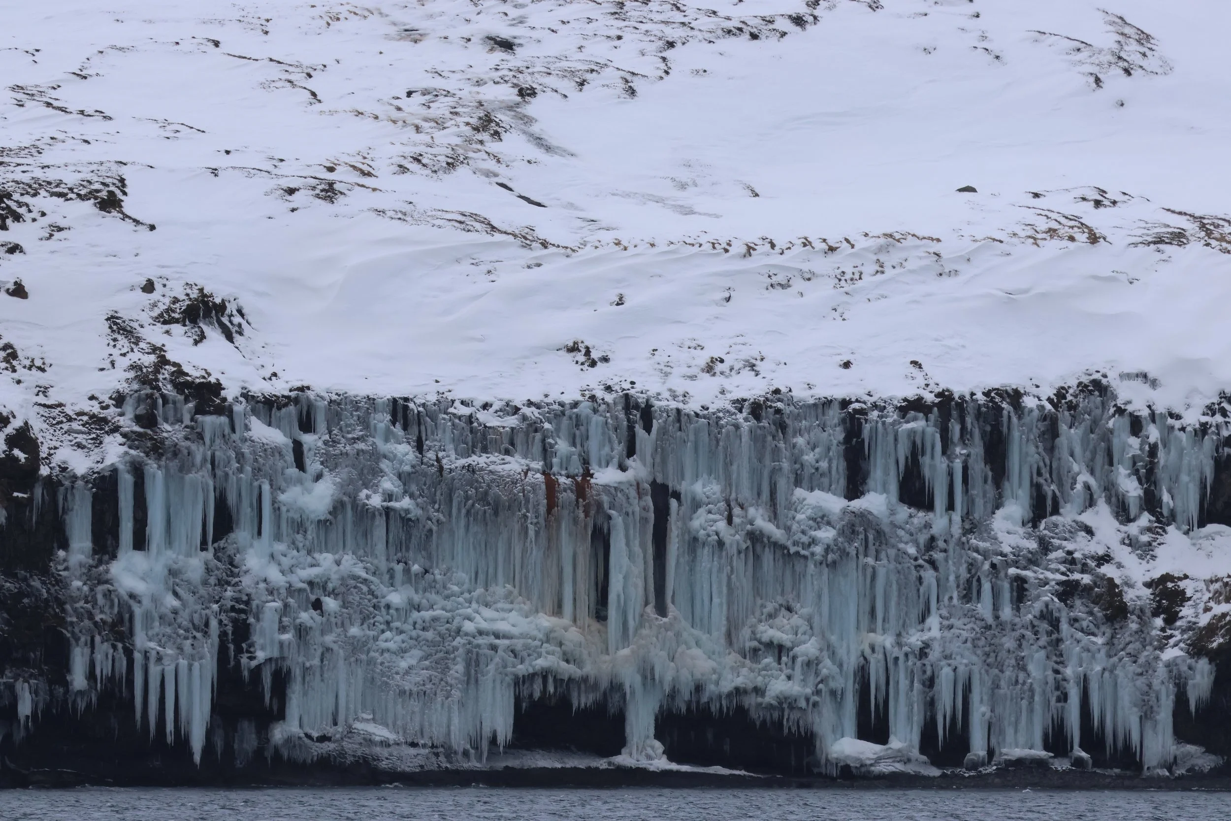 2026_02_26_1300_HOL_GISELA (52).JPG