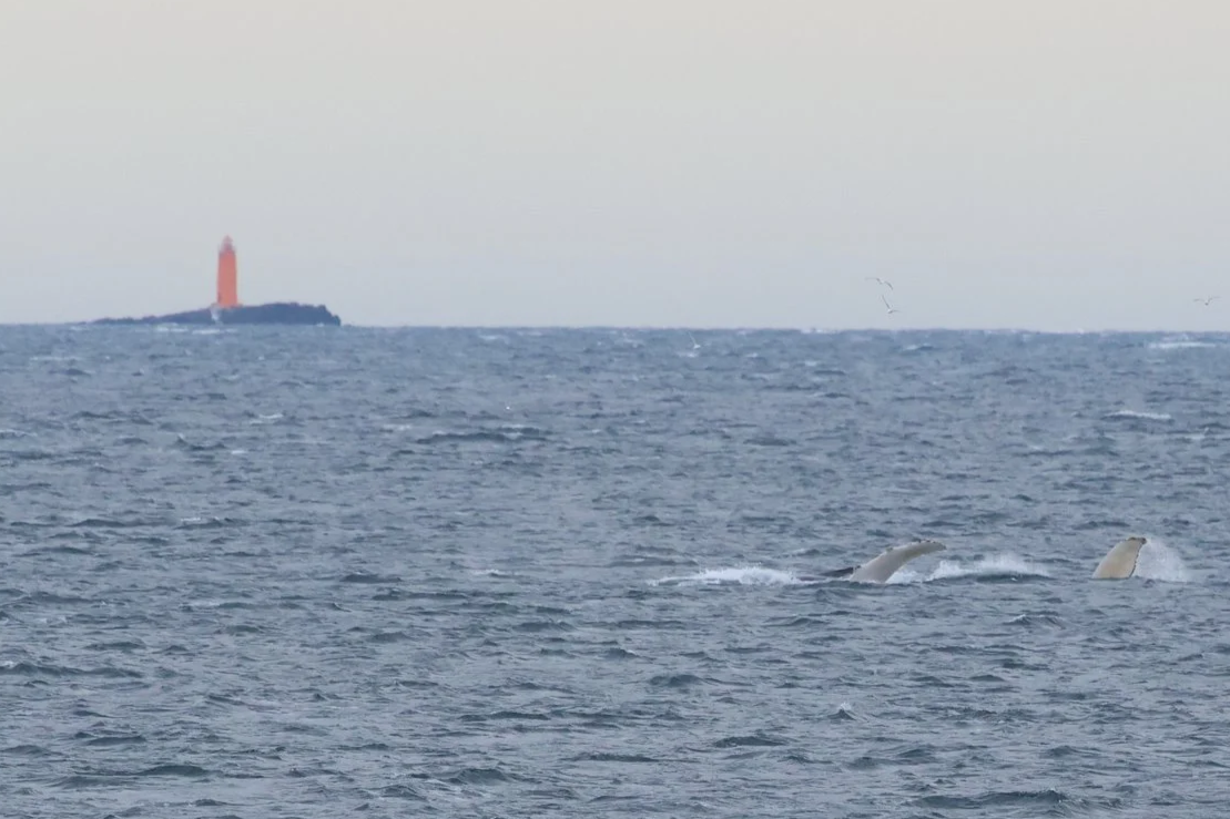 Thursday, 26 February 2026