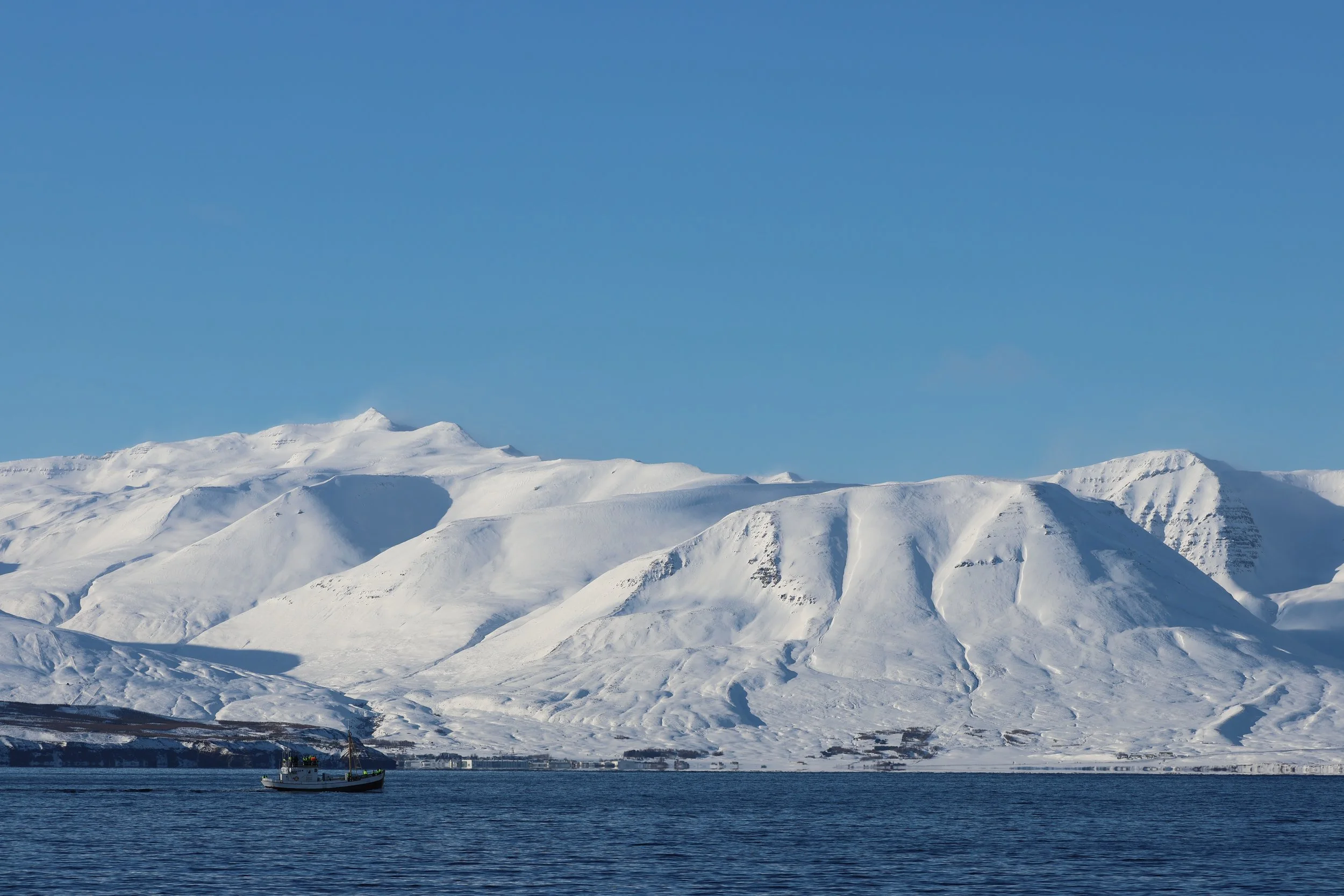 2026_02_27_1300_KON_GISELA (1).JPG