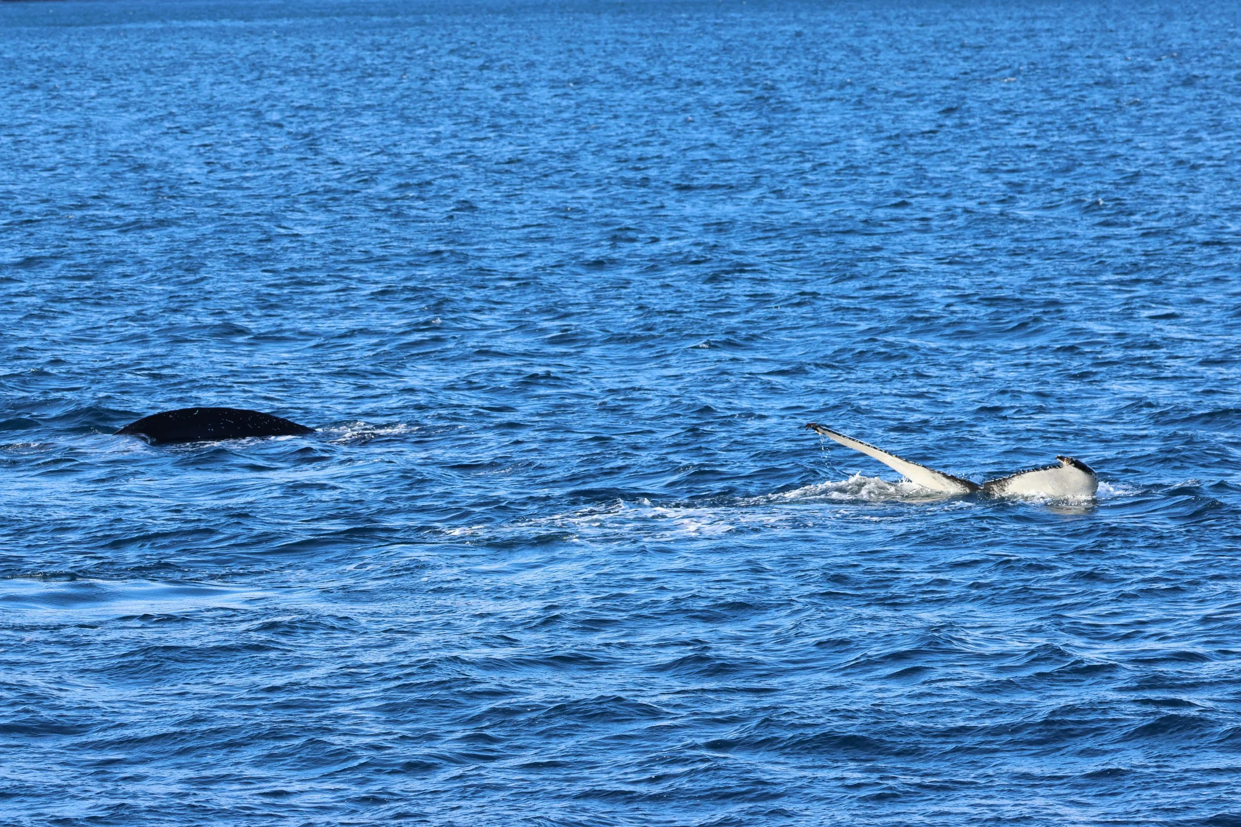 2026_02_27_1300_KON_GISELA (44).JPG