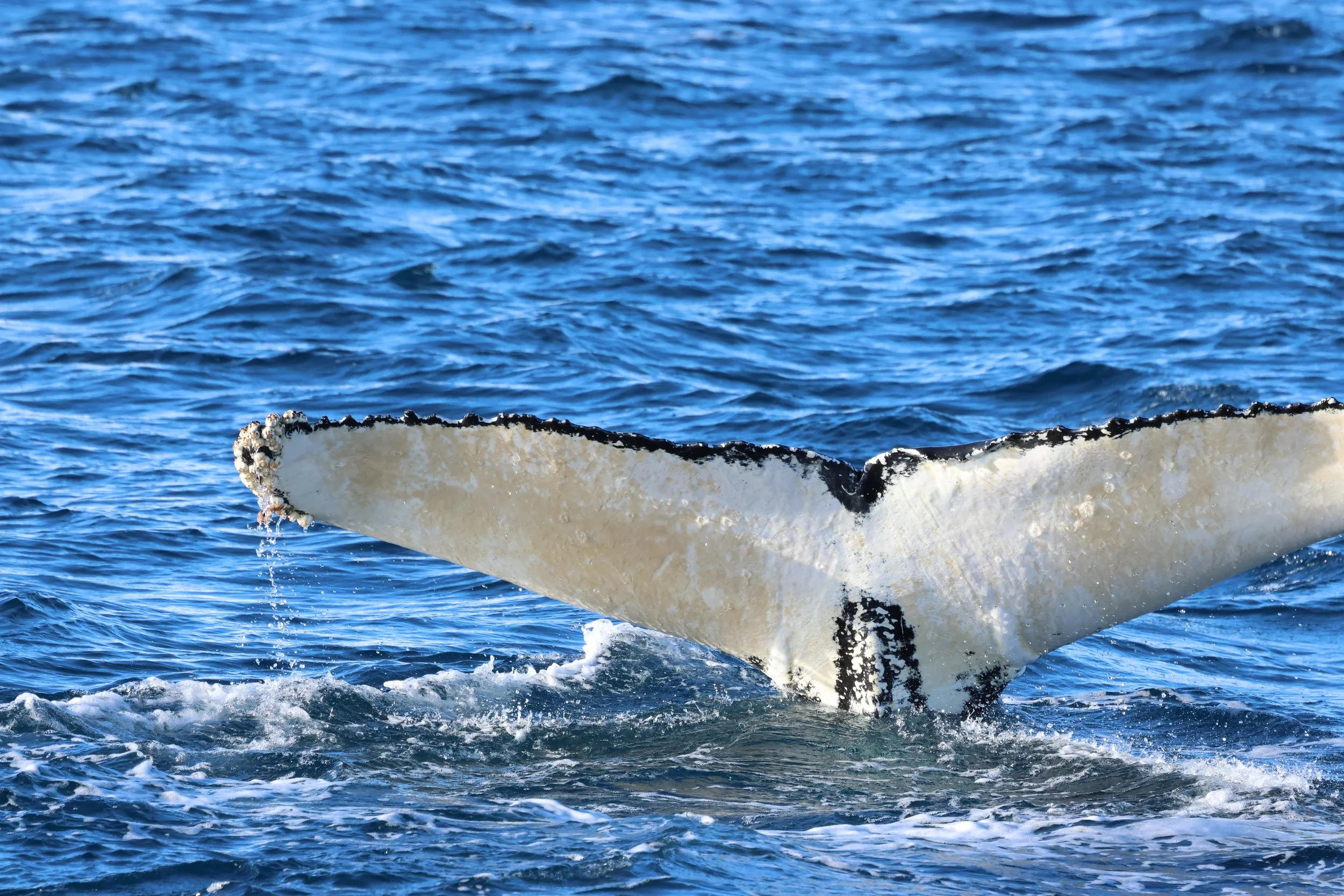 2026_02_27_1300_KON_GISELA (59).JPG