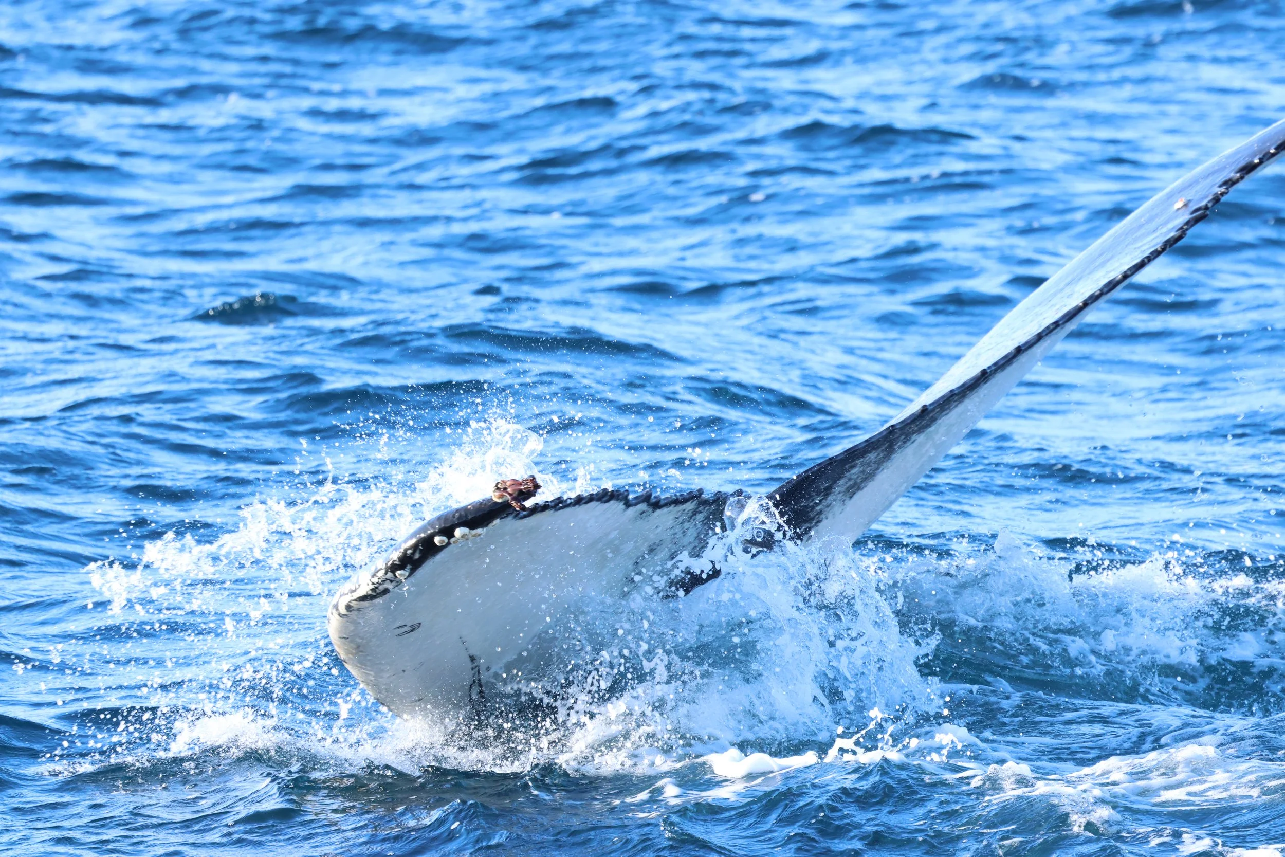 2026_02_27_1300_KON_GISELA (63).JPG