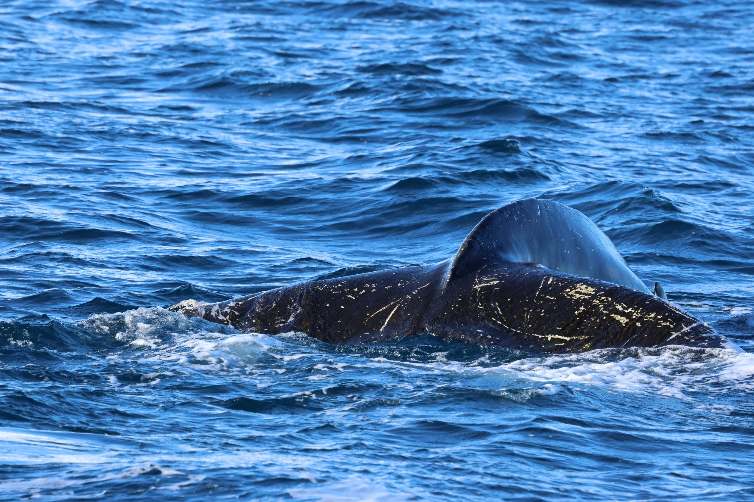 2026_02_27_1300_KON_GISELA (58).JPG