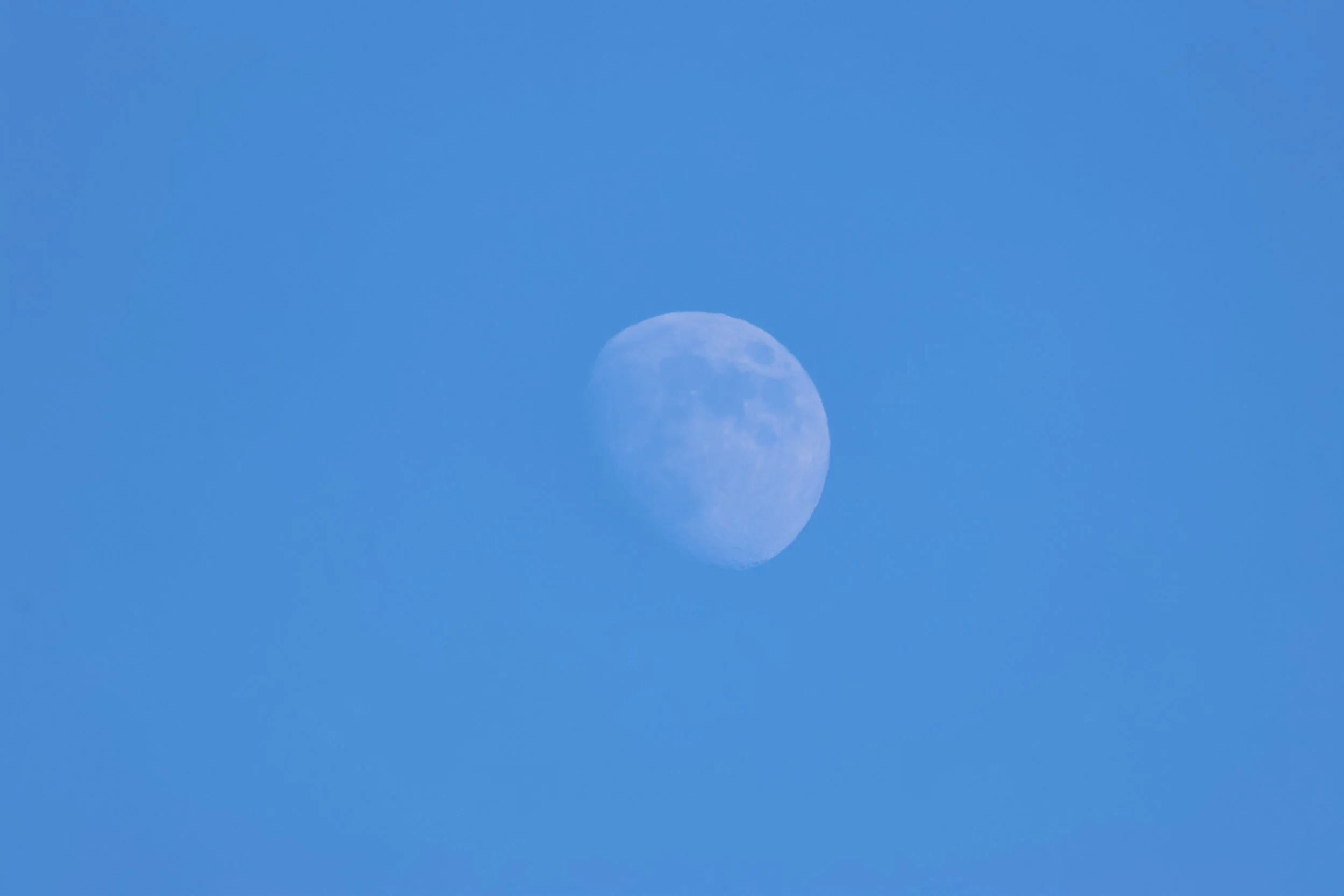 2026_02_27_1300_KON_GISELA (46).JPG