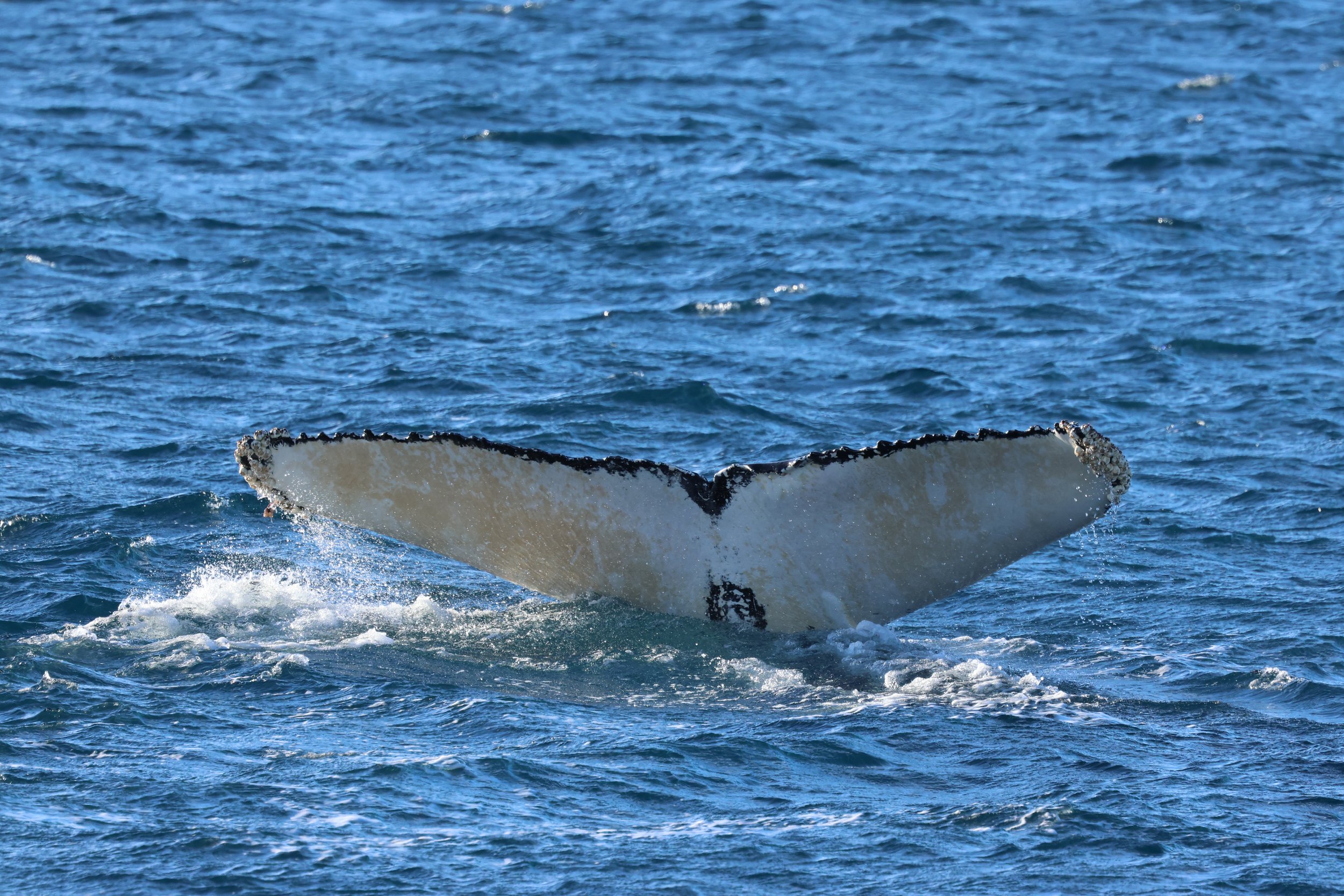 Friday, 27 February 2026