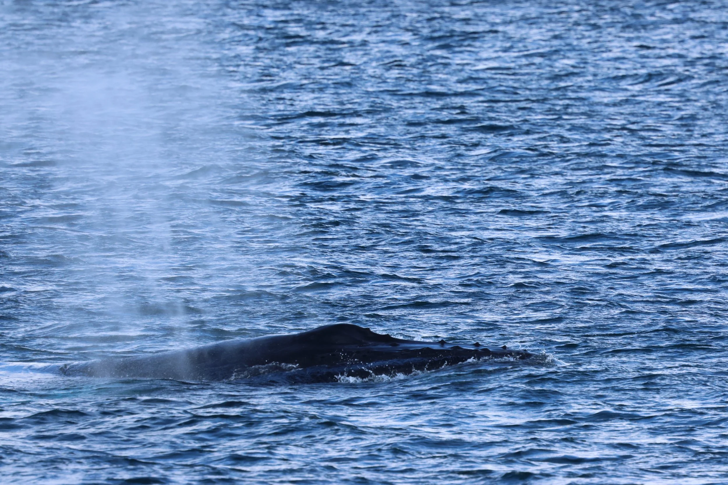 2026_02_28_1300_KON_GISELA (52).JPG