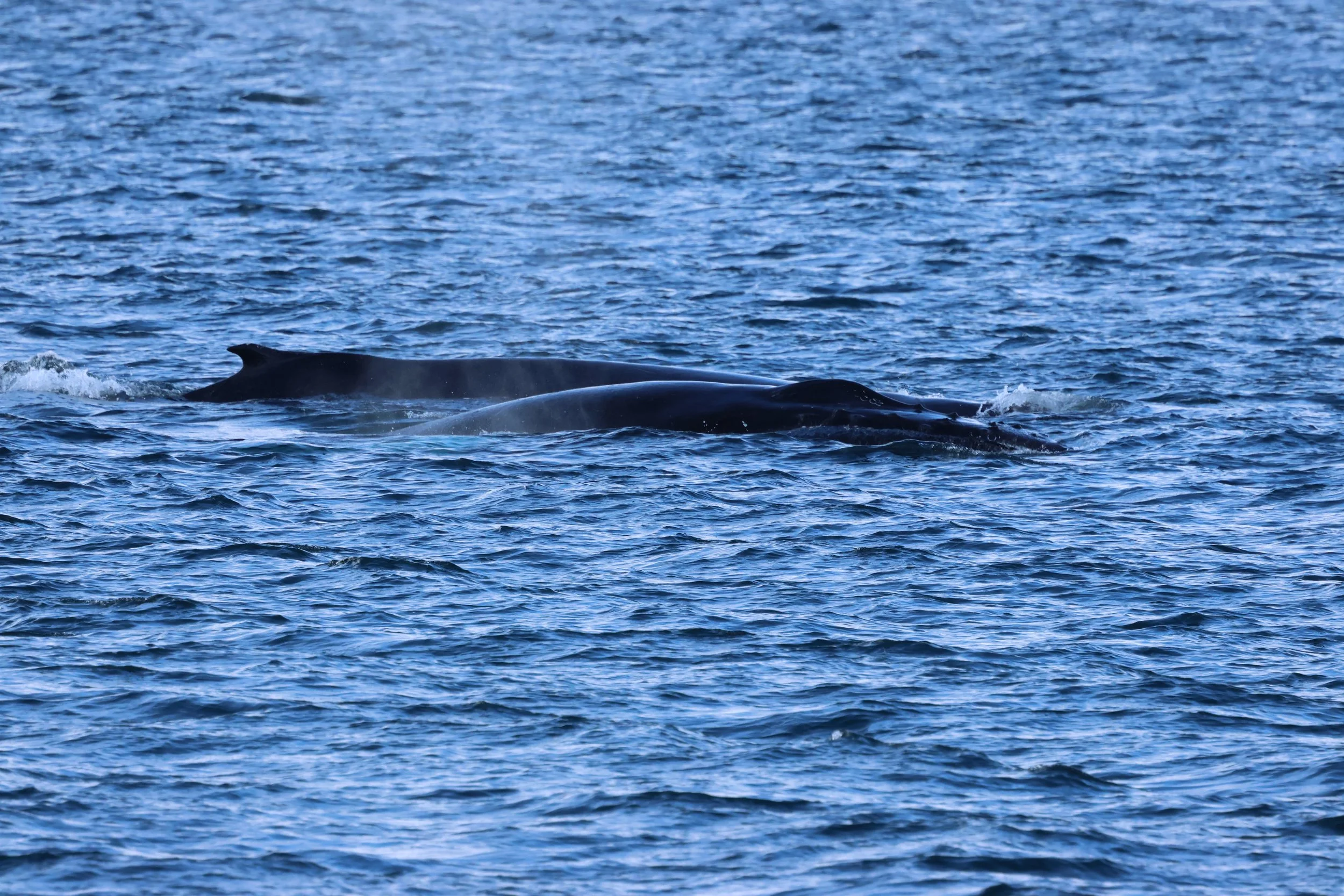 2026_02_28_1300_KON_GISELA (61).JPG