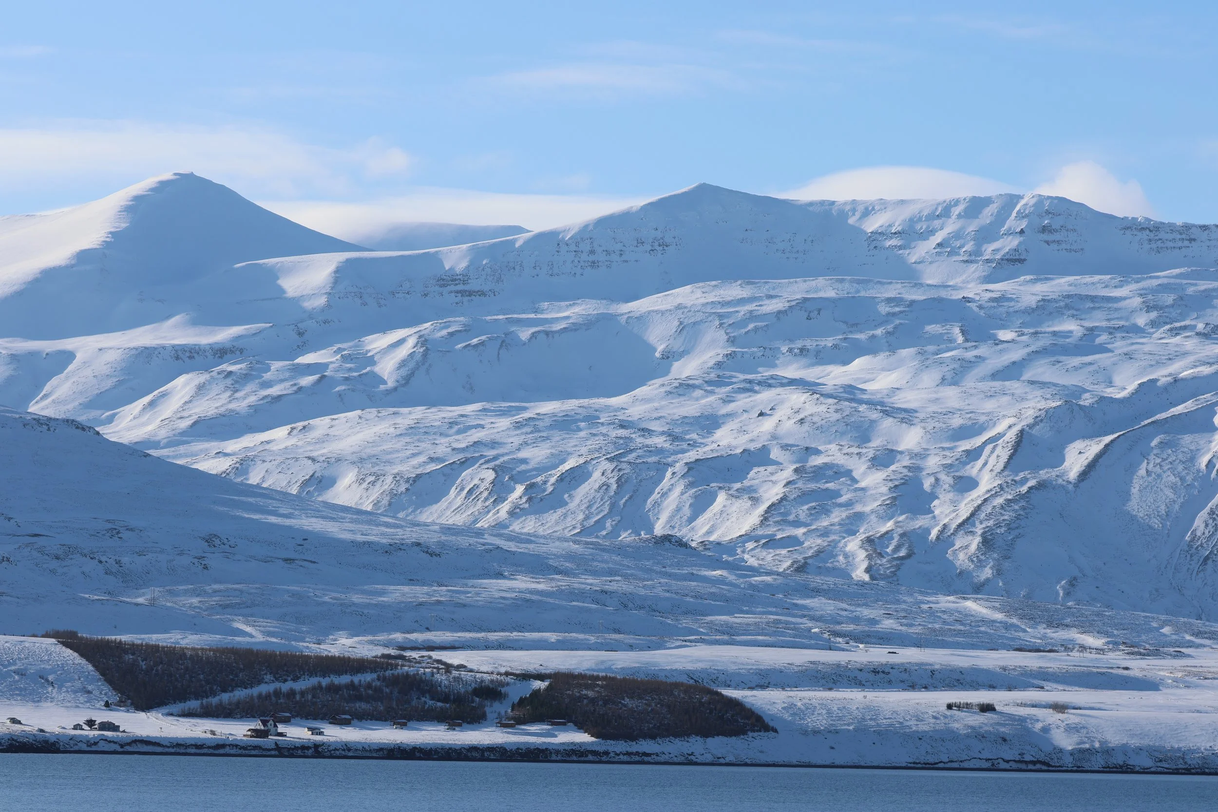 2026_03_01_1300_HOL_GISELA (2).JPG