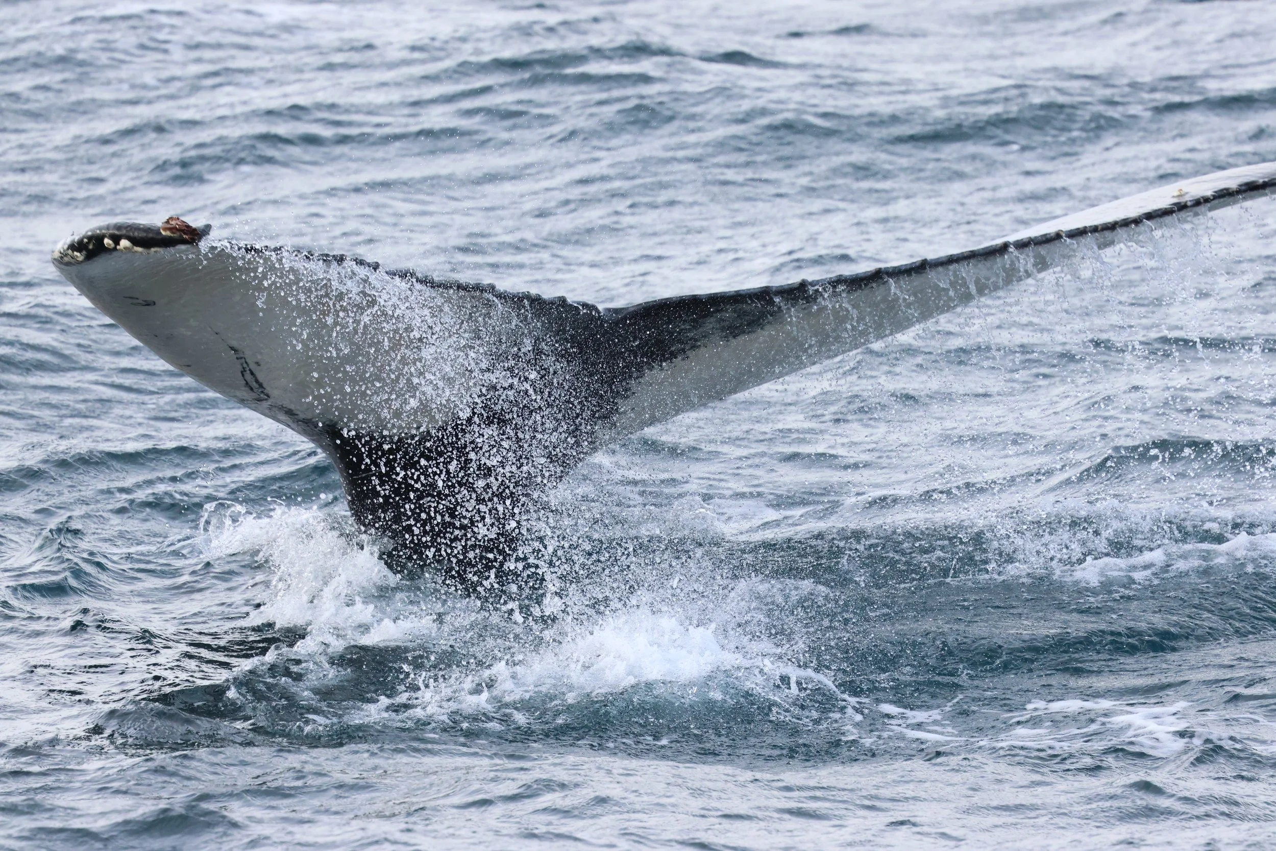 Tuesday, 3 March 2026