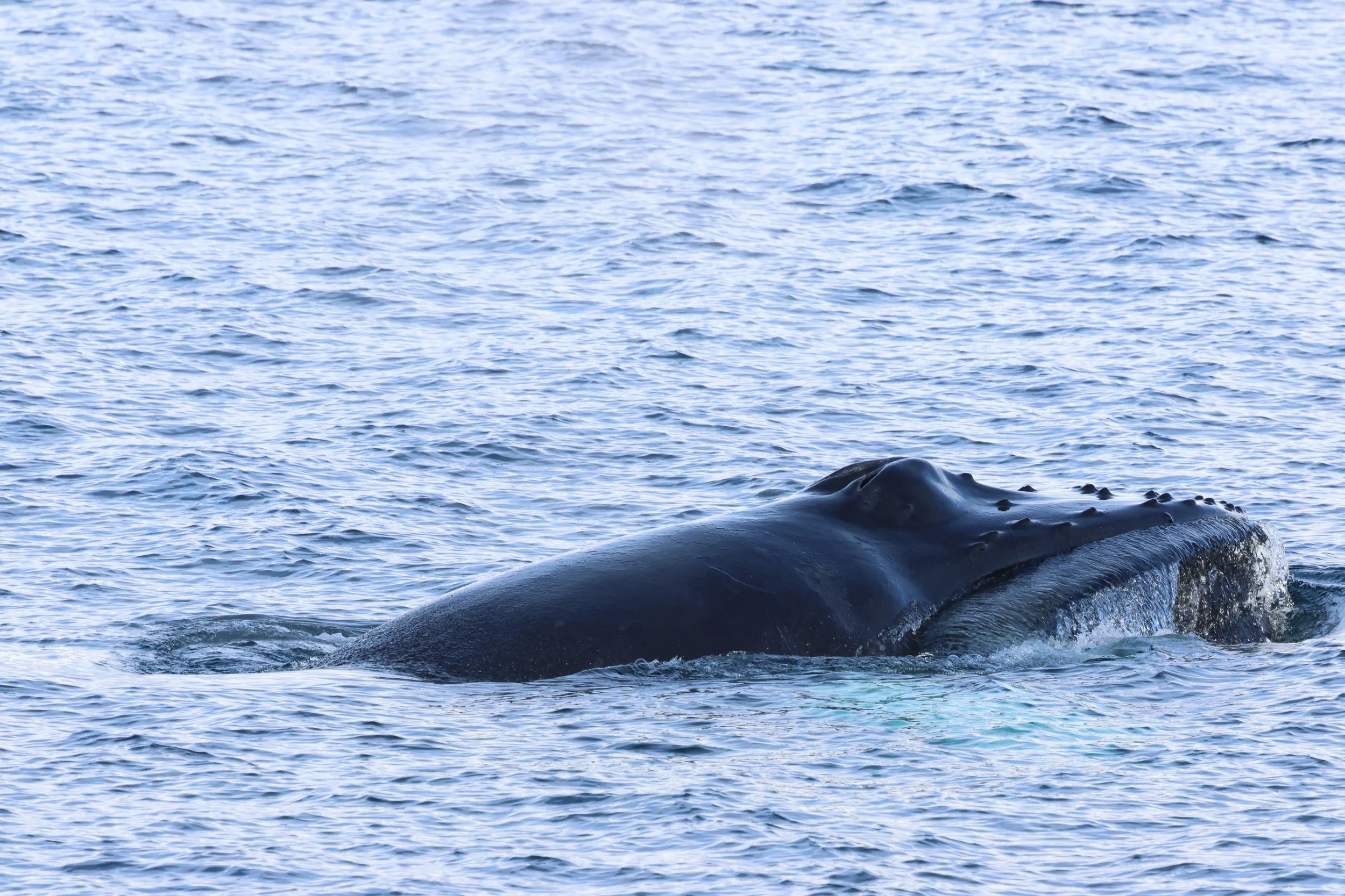 Wednesday, 4 March 2026