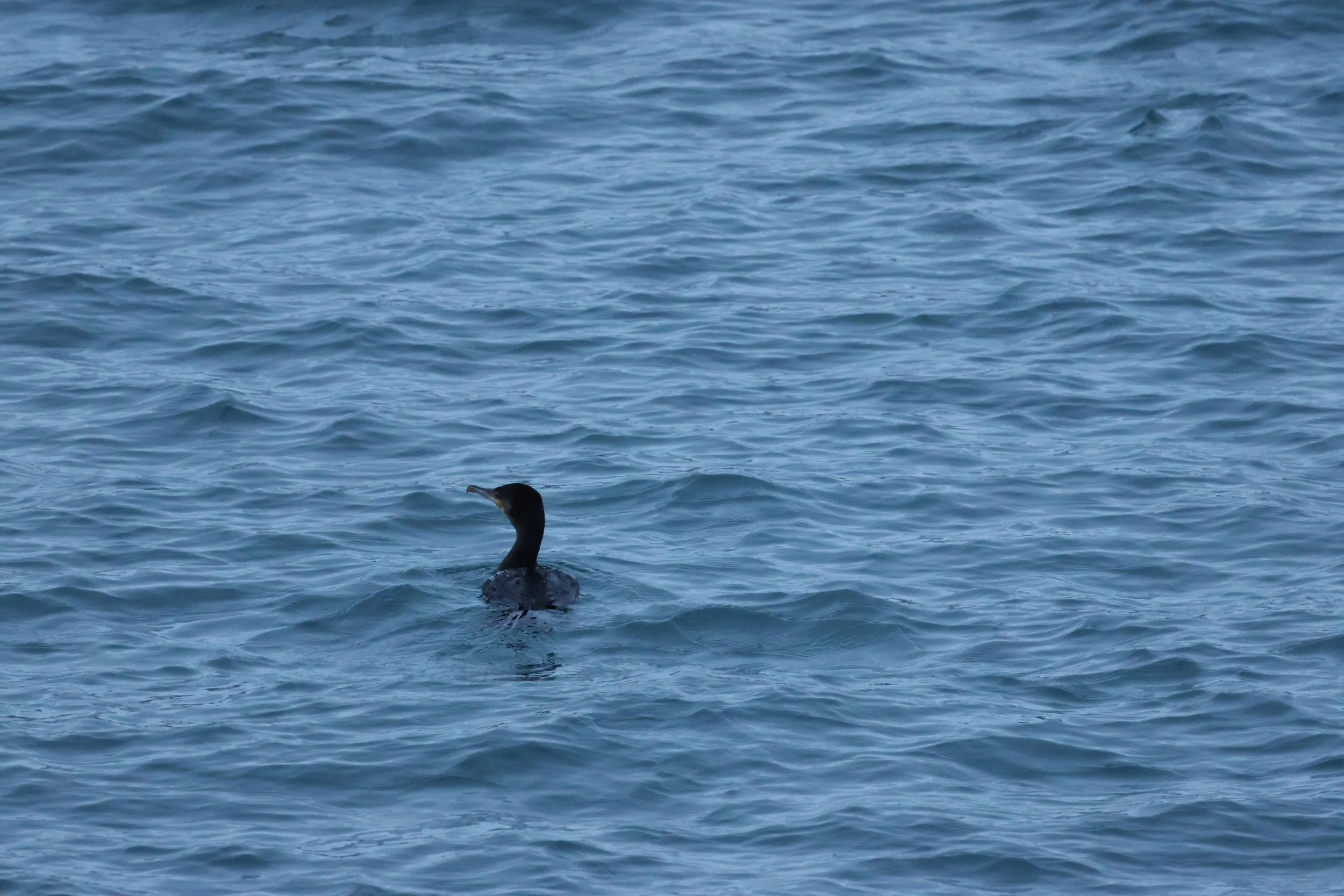 Thursday, 5 March 2026