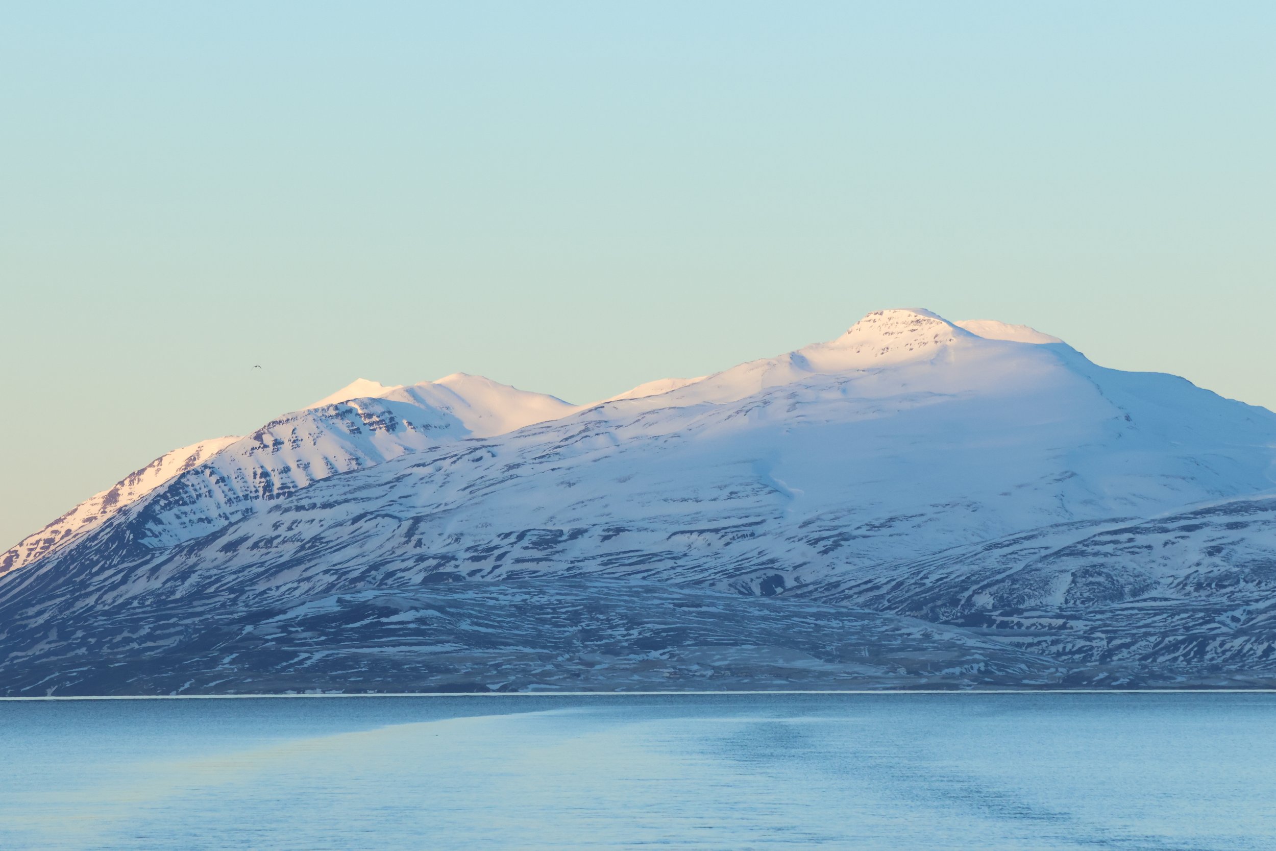 Sunday, 8 March 2026