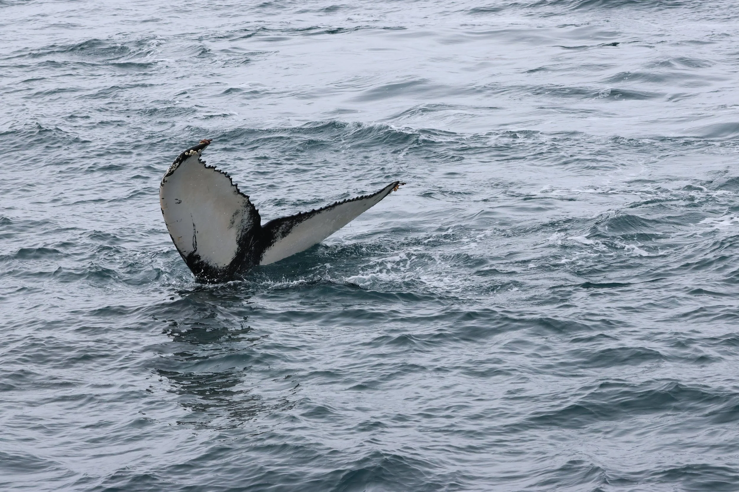 Monday, 9 March 2026