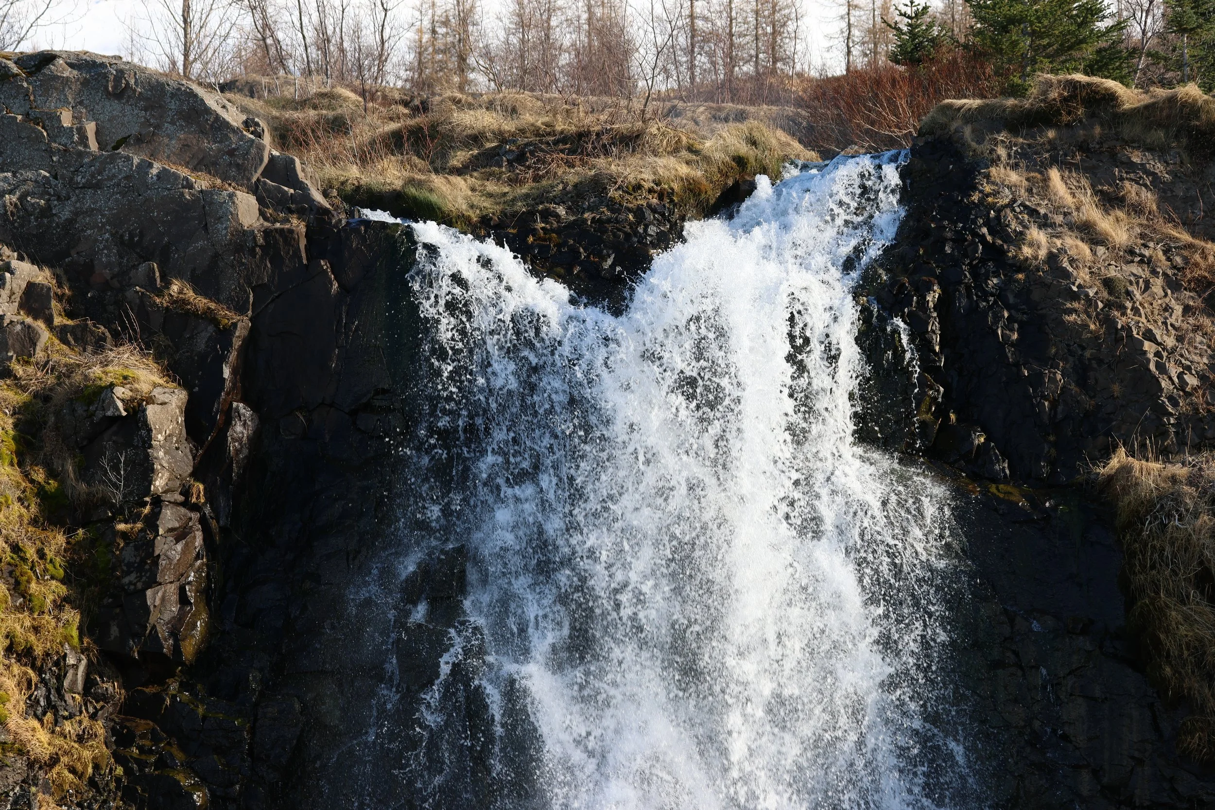 2026_03_09_1300_KON_GISELA (3).JPG