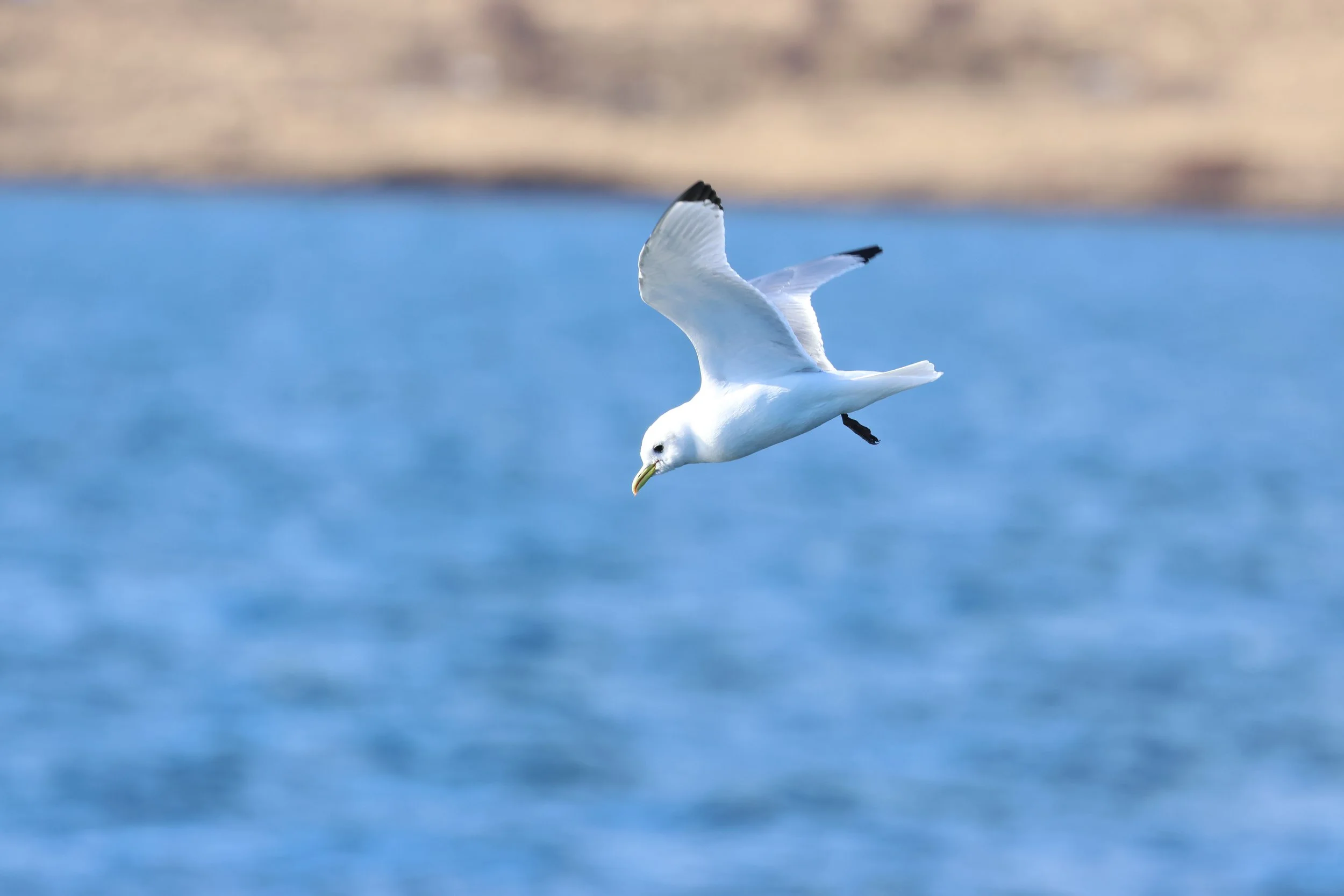 2026_03_09_1300_KON_GISELA (14).JPG