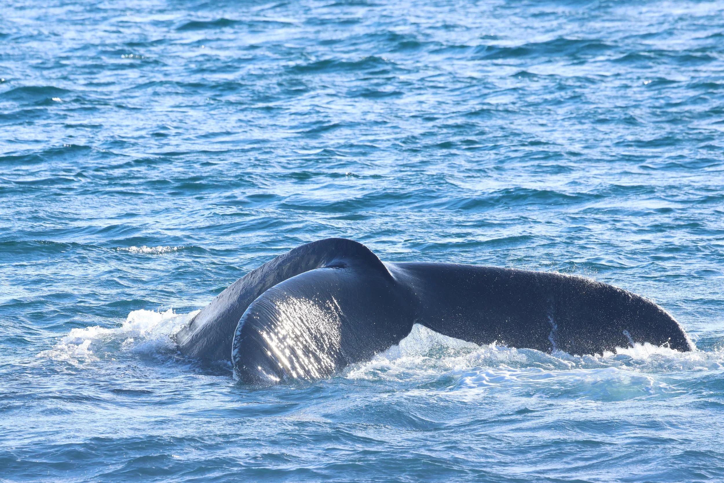 2026_03_09_1300_KON_GISELA (34).JPG