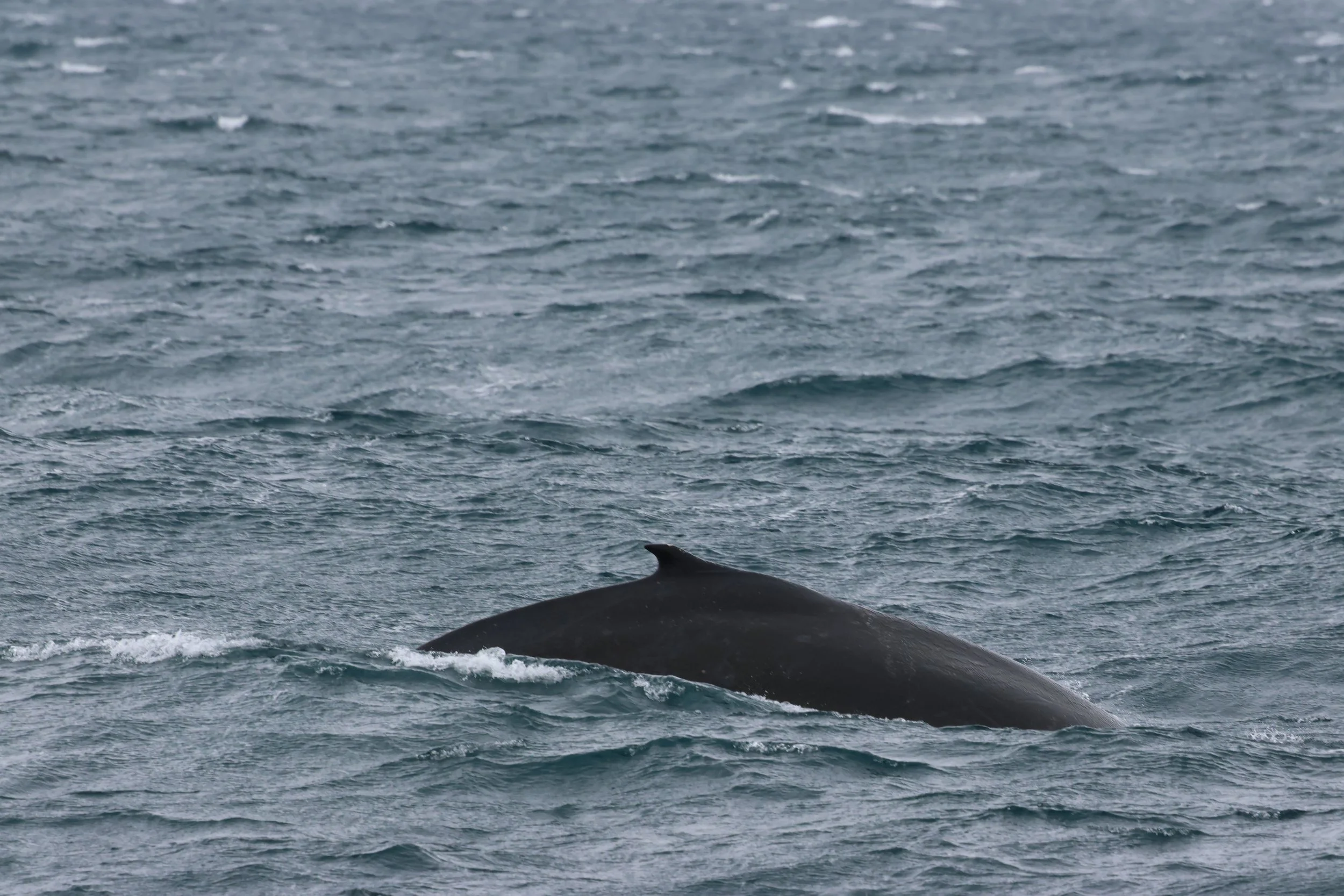 2026_03_11_1300_KON_GISELA (20).JPG