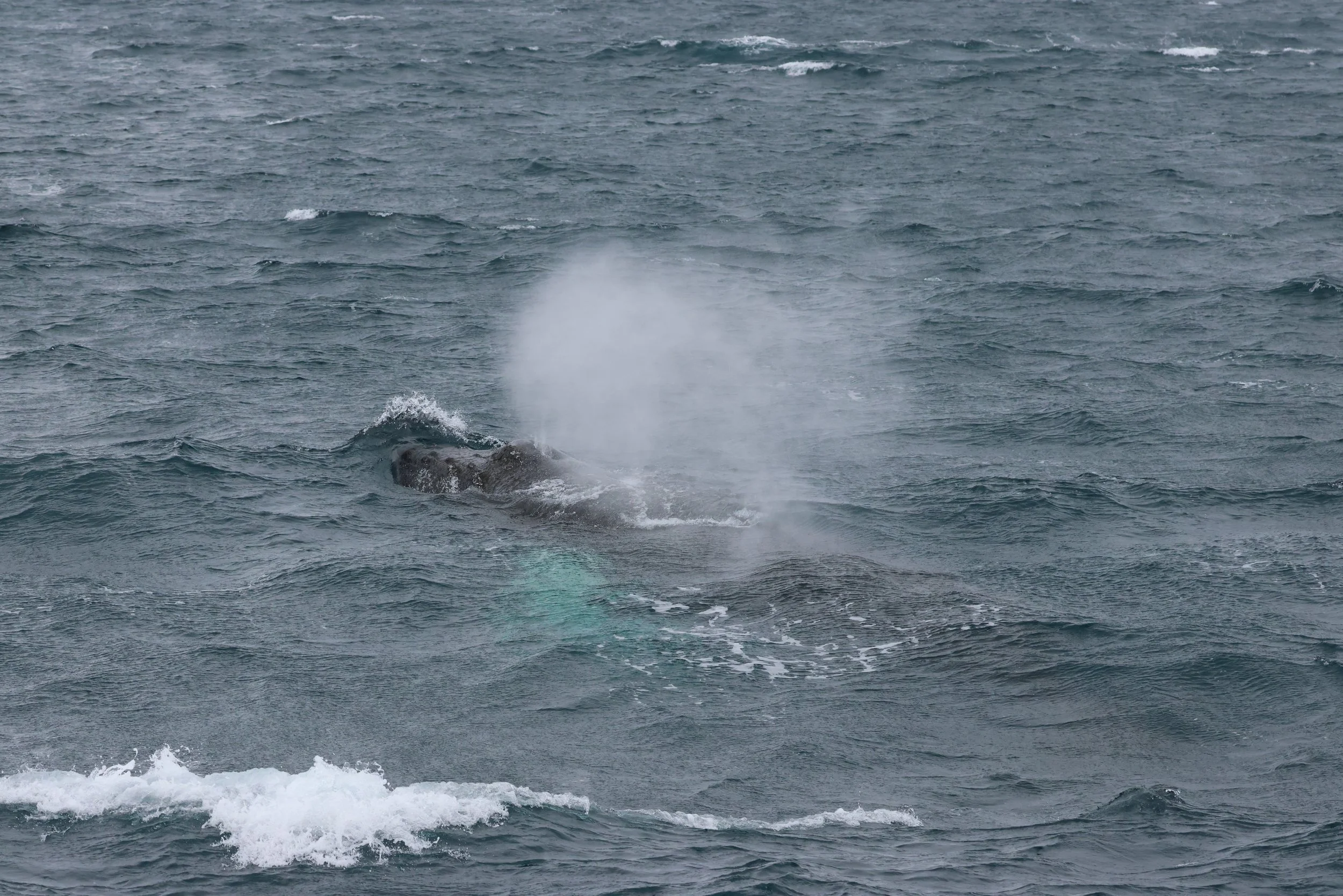 2026_03_11_1300_KON_GISELA (22).JPG