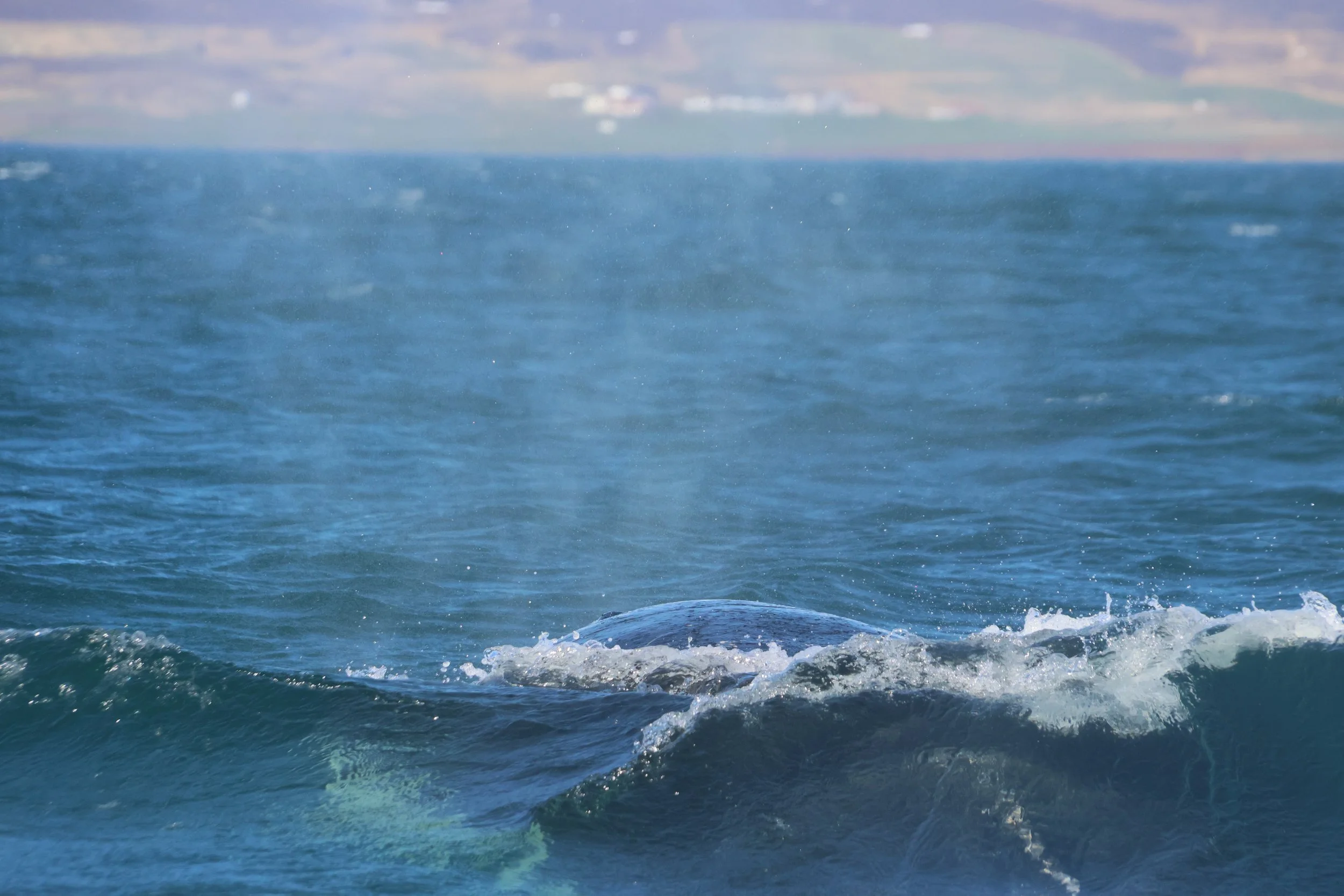 Wednesday, 11 March 2026