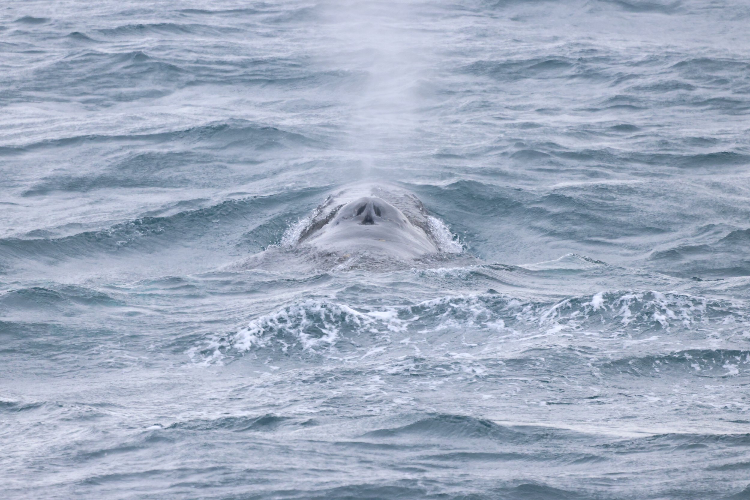 2026_03_12_1300_HOL_JACOB (9).JPG