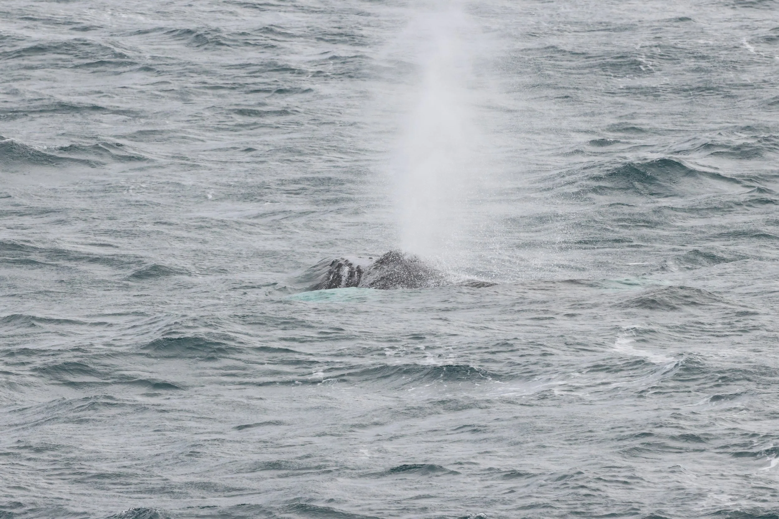 2026_03_12_1300_HOL_JACOB (21).JPG