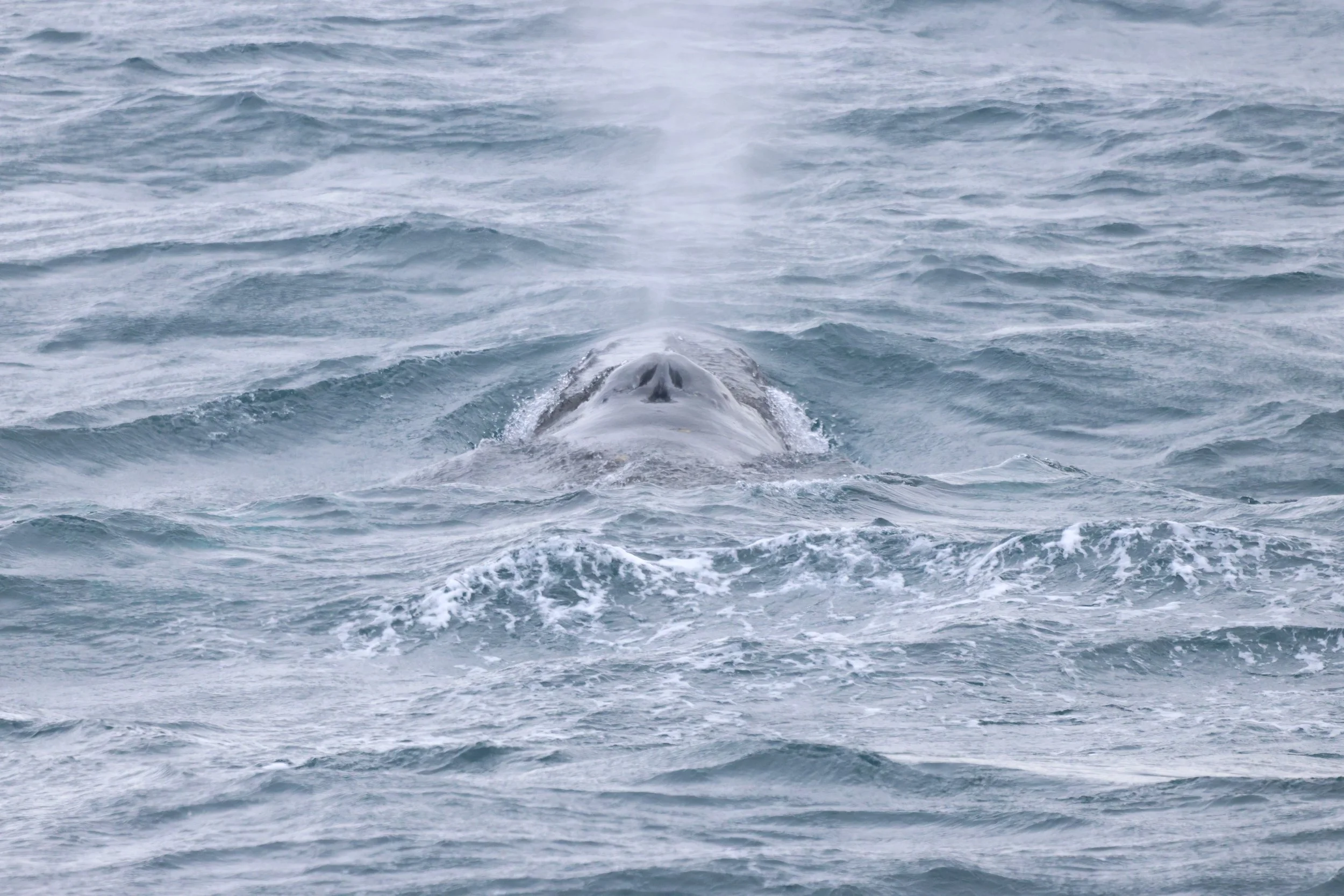 Thursday, 12 March 2026