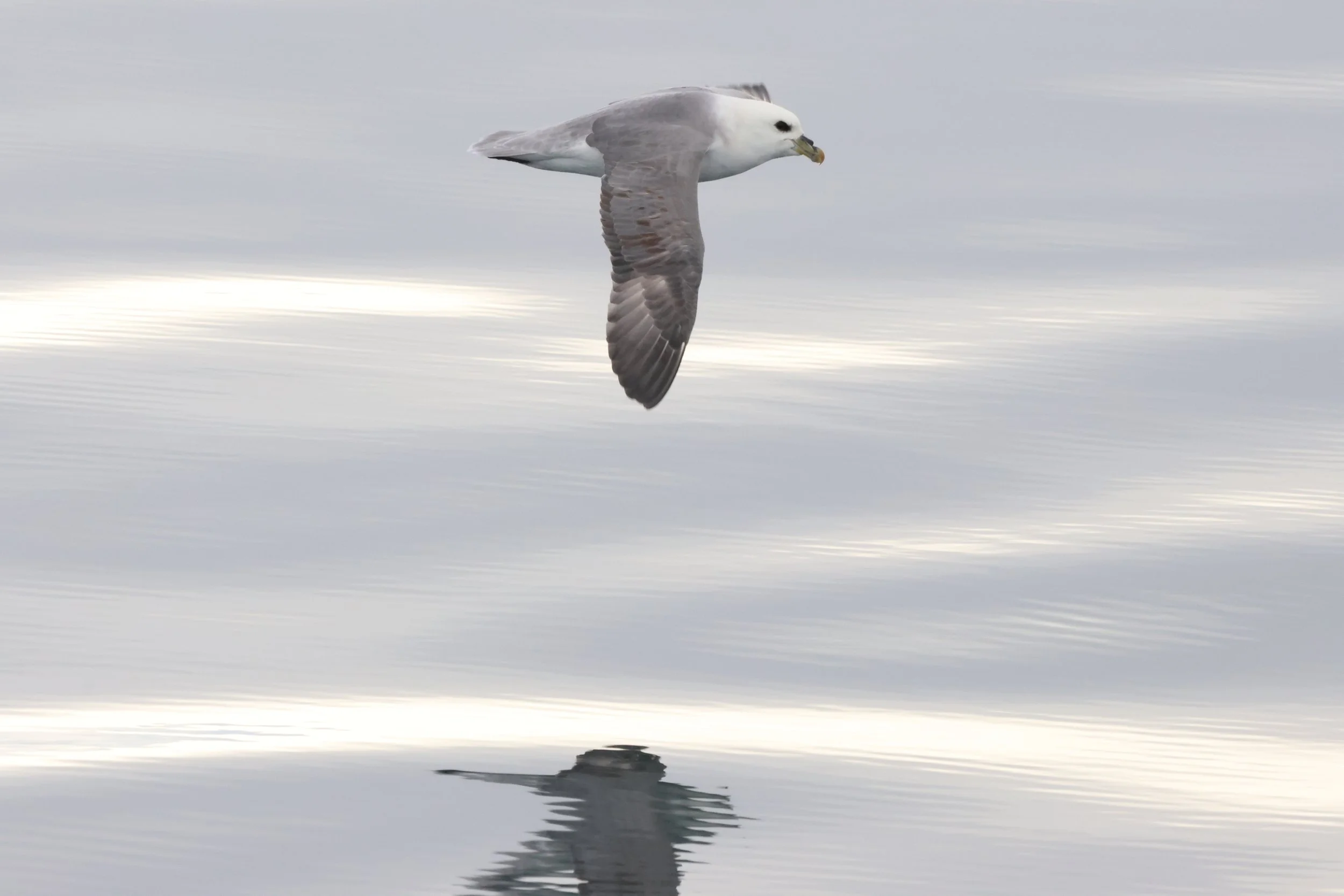 2026_03_13_1300_KON_JACOB (24).JPG