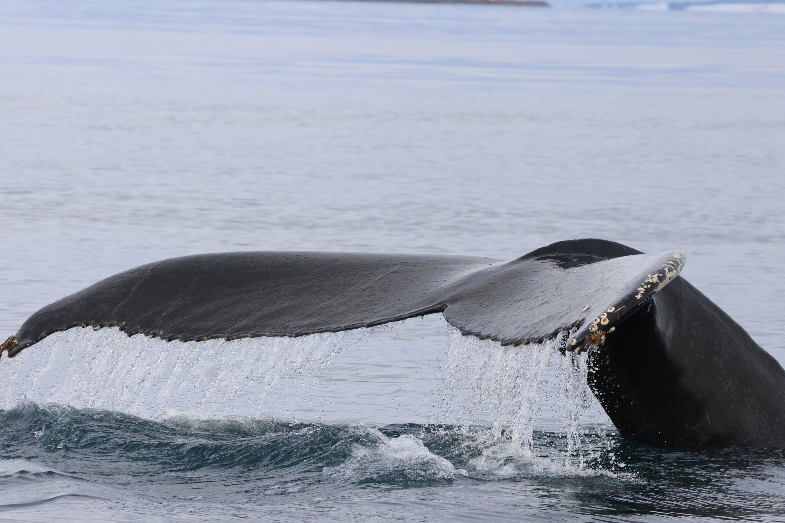 Saturday, 14 March 2026