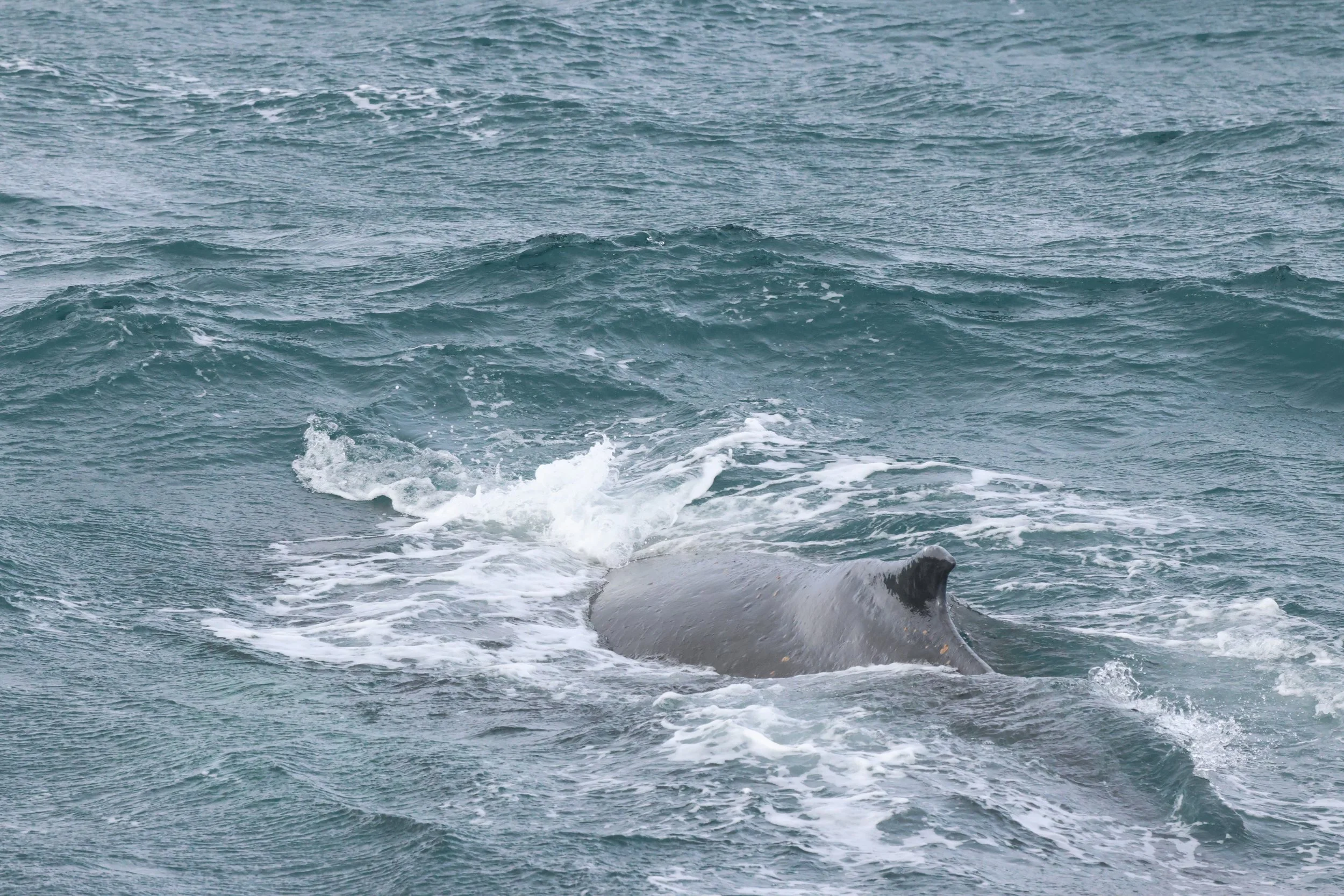 2026_03_17_1300_HOL_JACOB (2).JPG