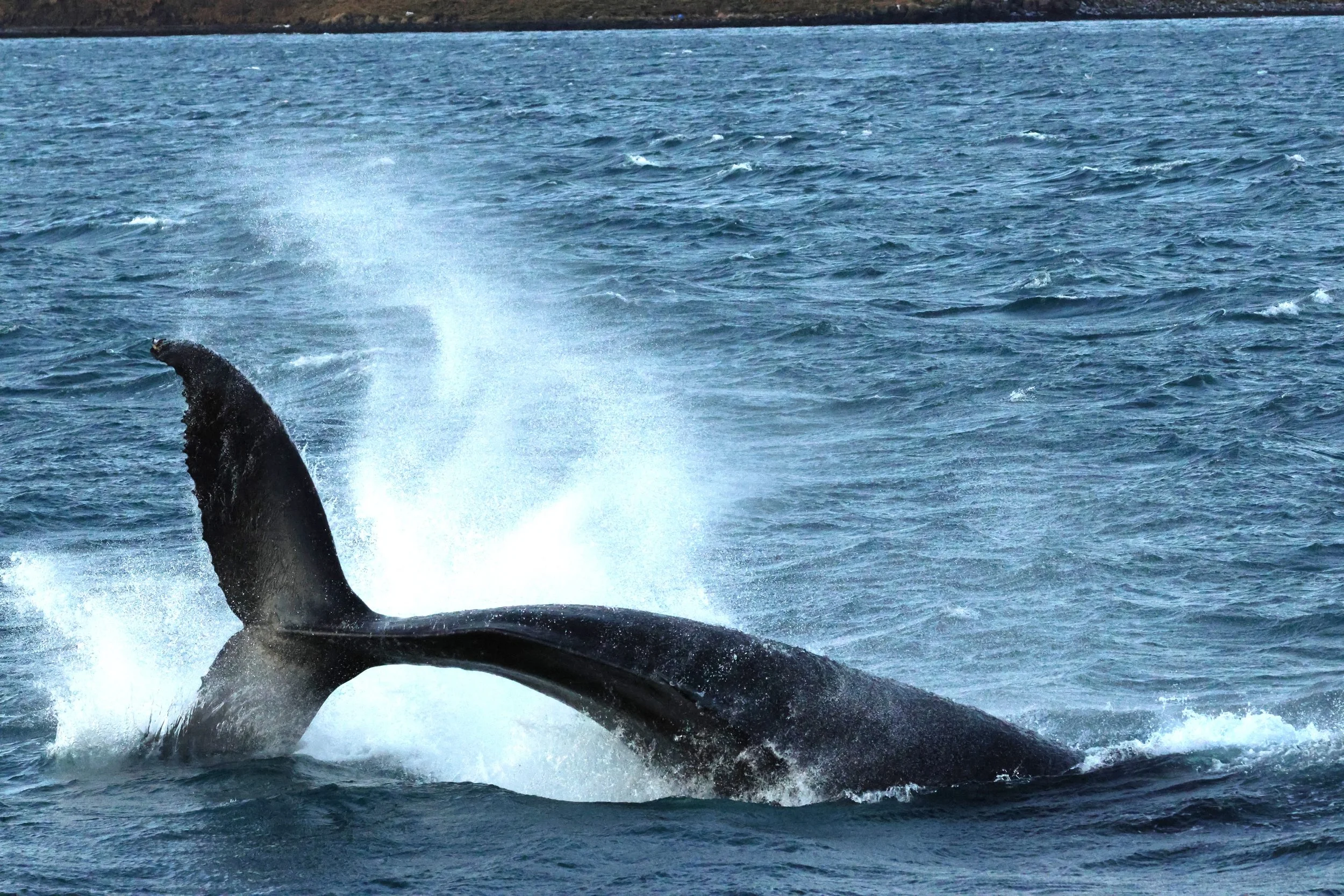 Wednesday, 18 March 2026