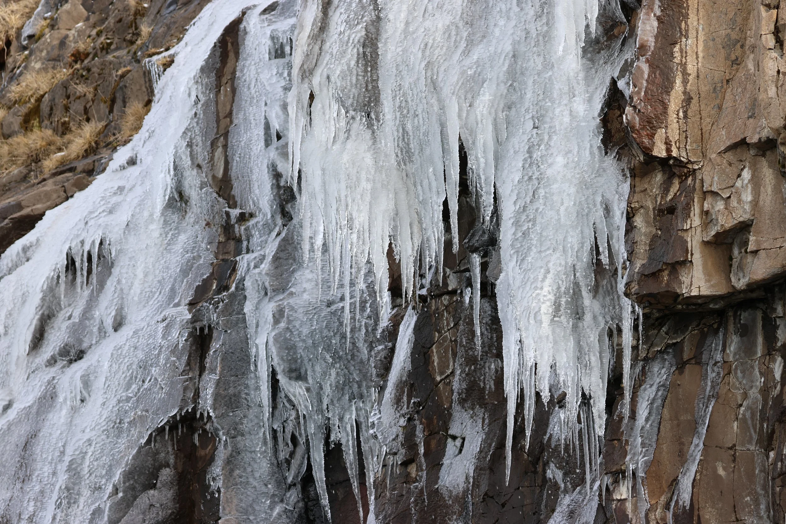 2026_03_21_1300_HOL_GISELA (1).JPG