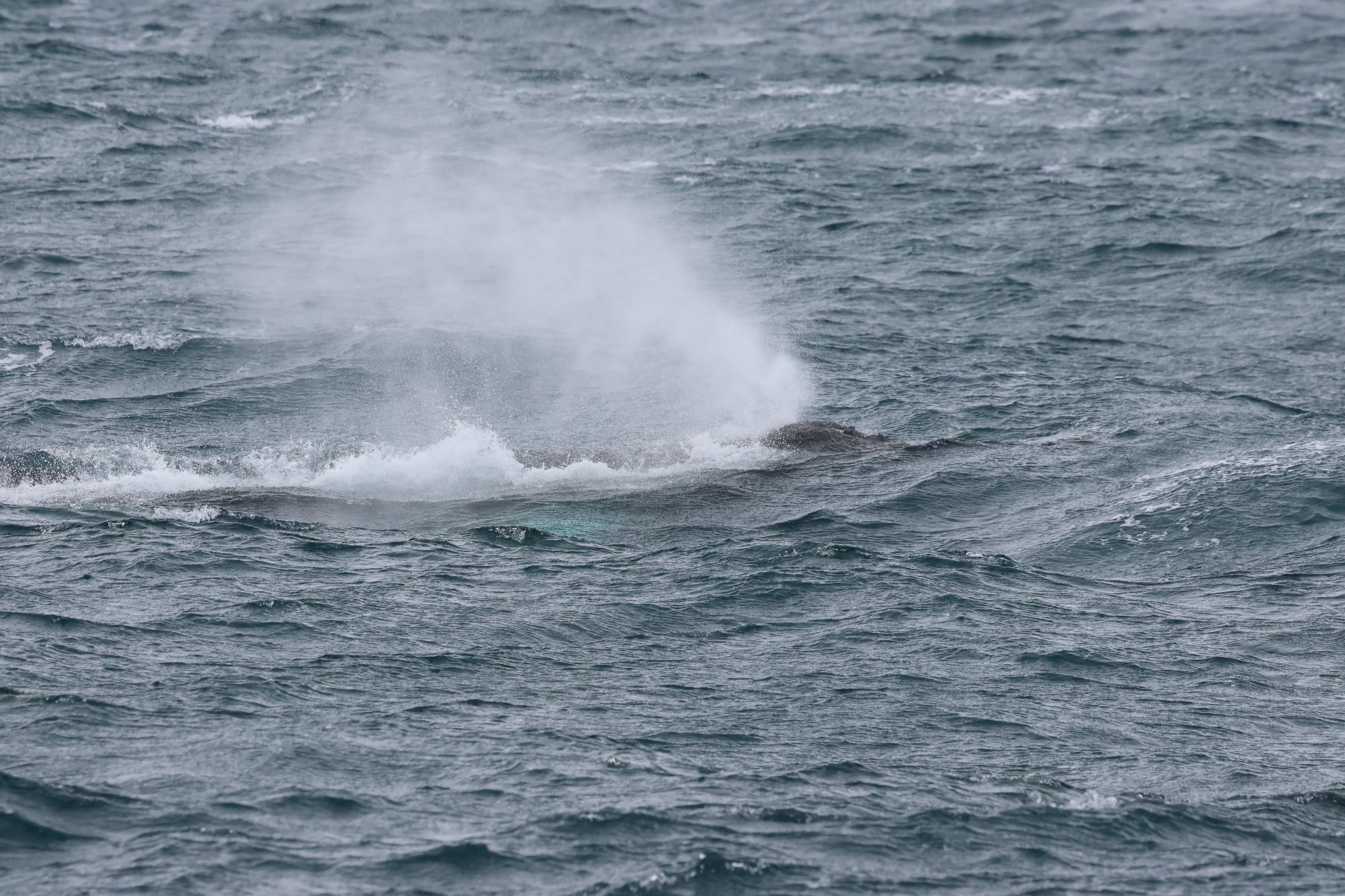 Saturday, 21 March 2026