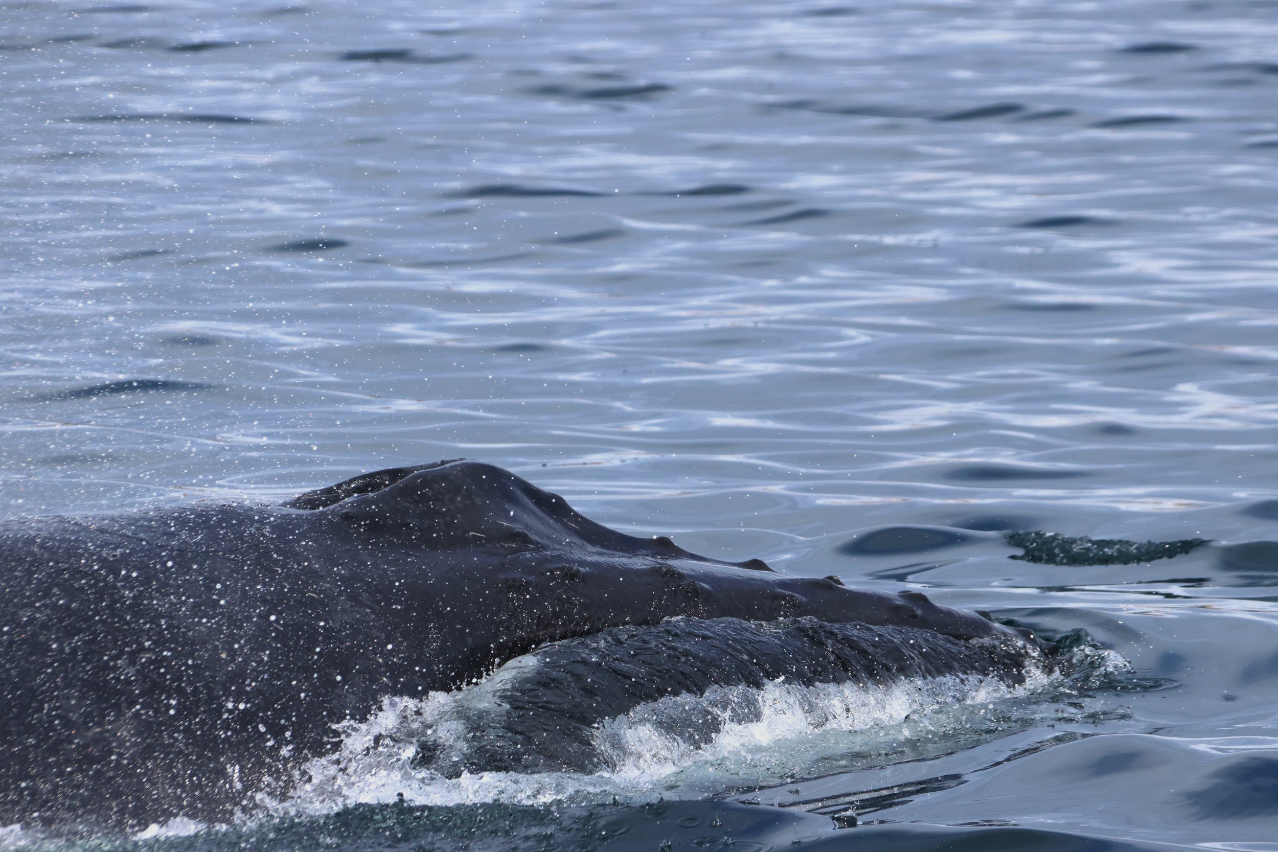 Sunday, 22 March 2026