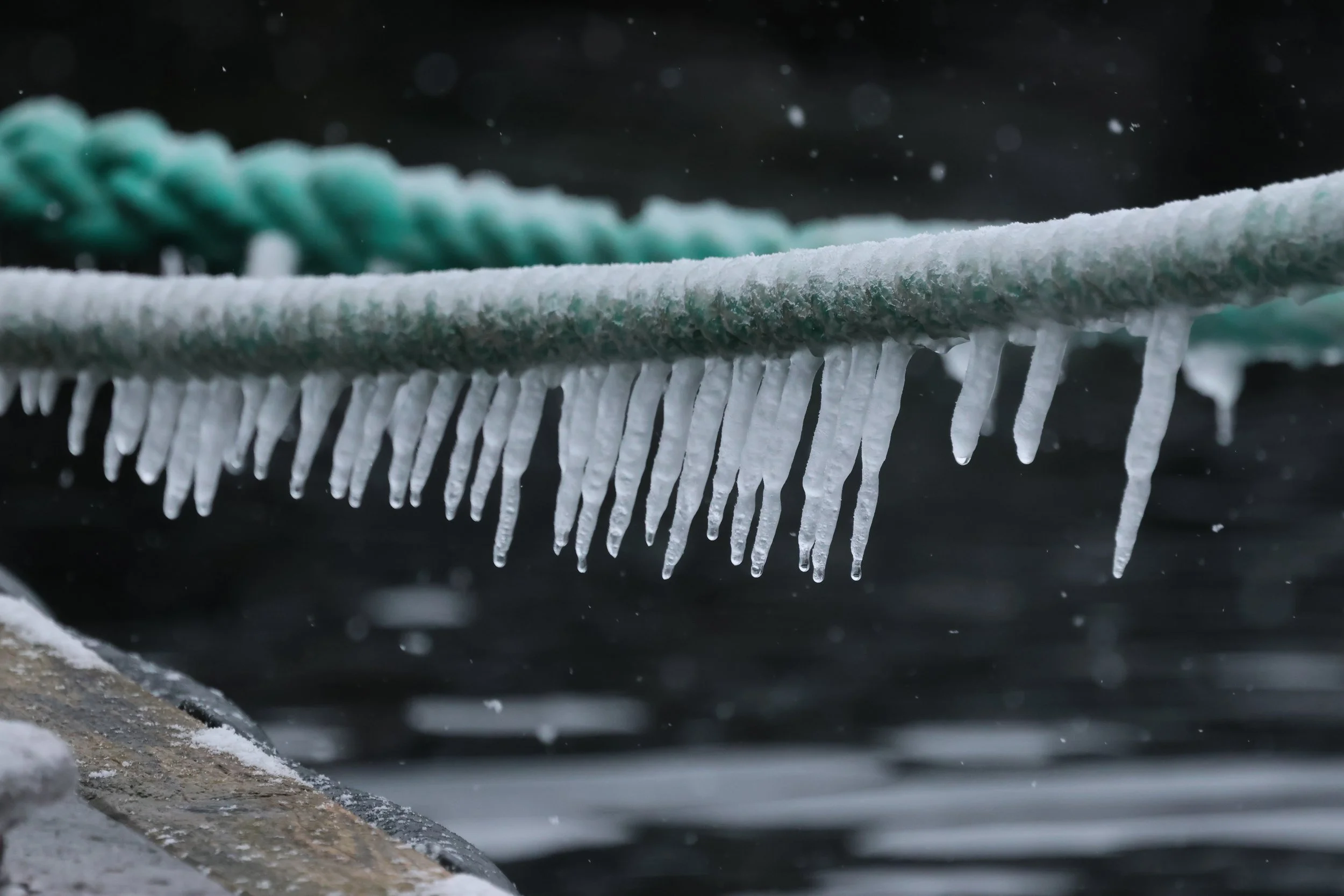 2026_03_23_1300_KON_GISELA (63).JPG