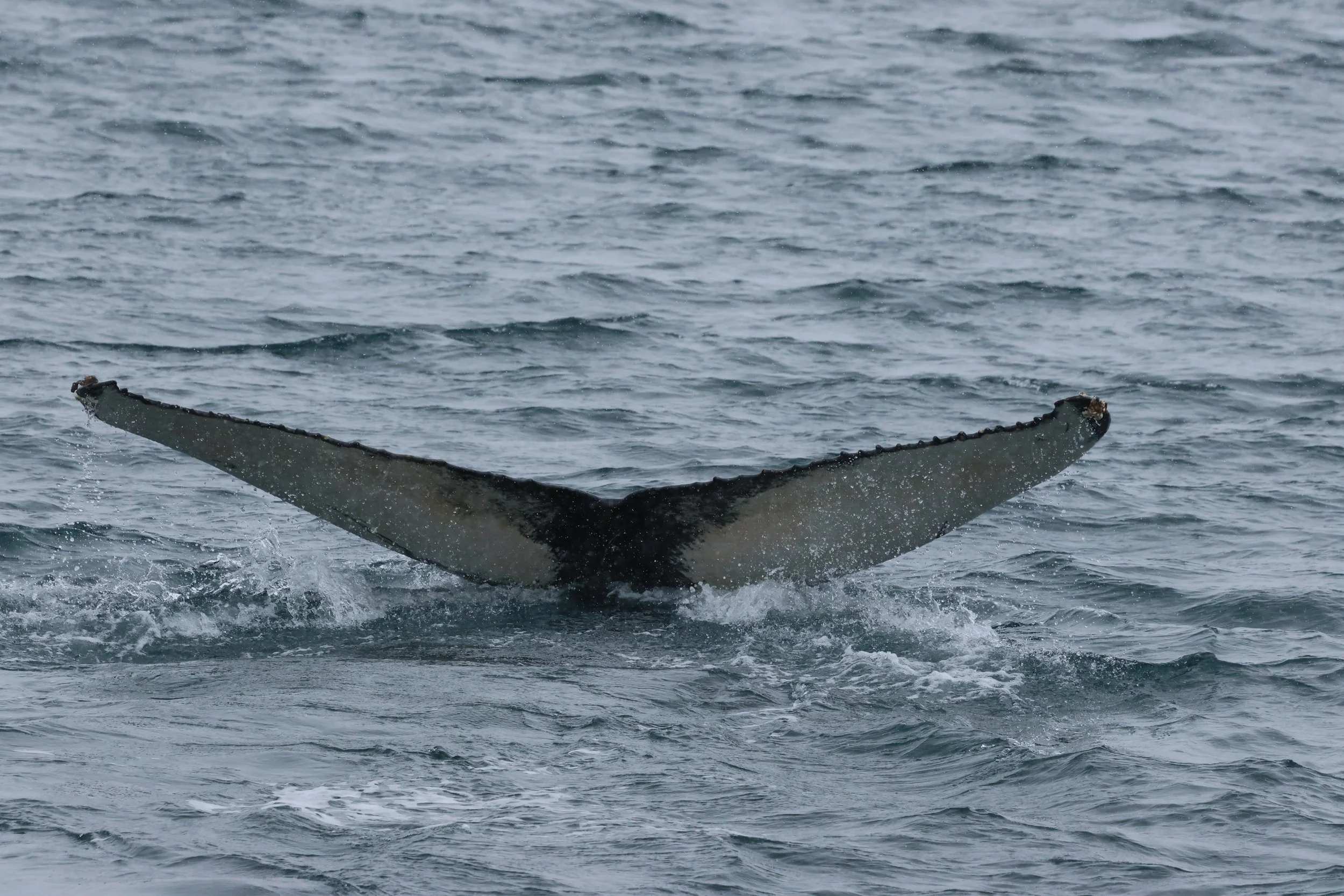 Monday, 23 March 2026