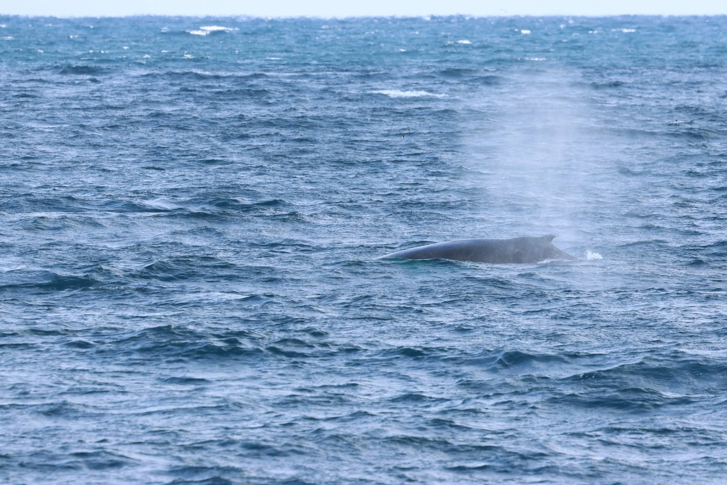 2026_03_25_1300_KON_GISELA (3).JPG