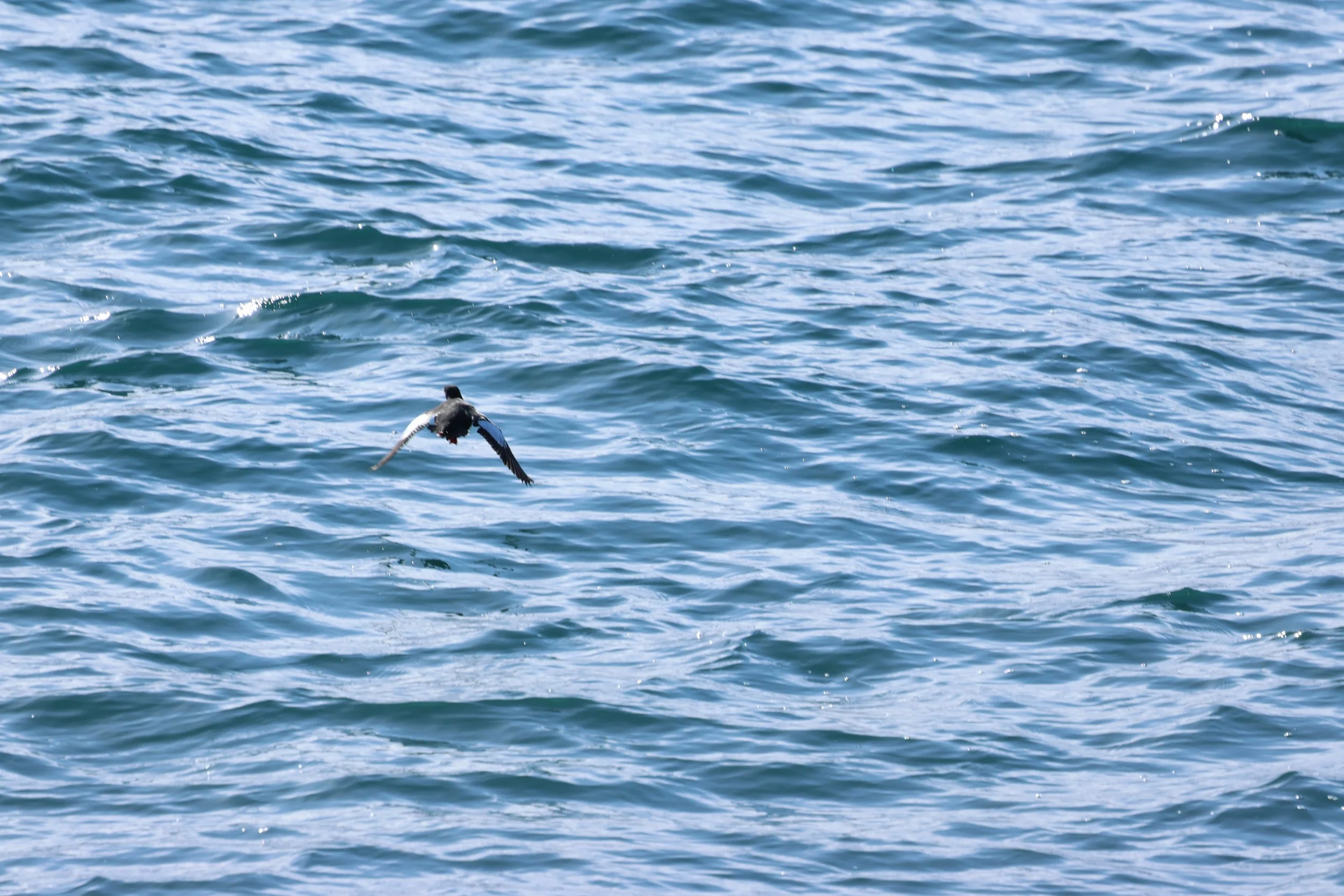 2026_03_28_1300_HOL_GISELA (13).JPG