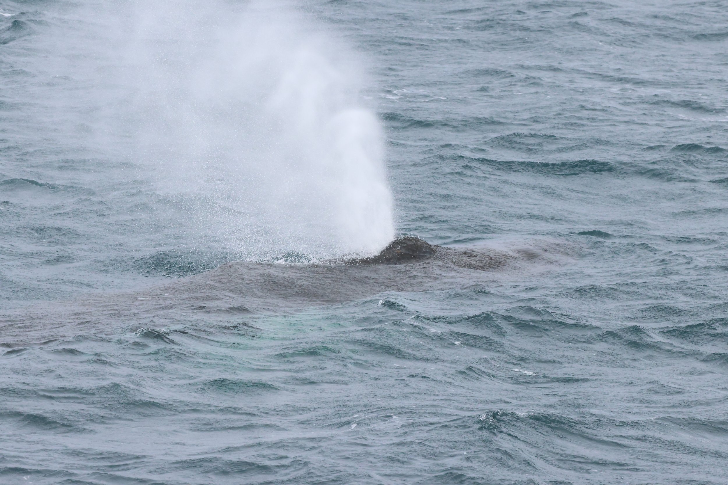 2026_04_02_0900_HOL_JACOB (19).JPG