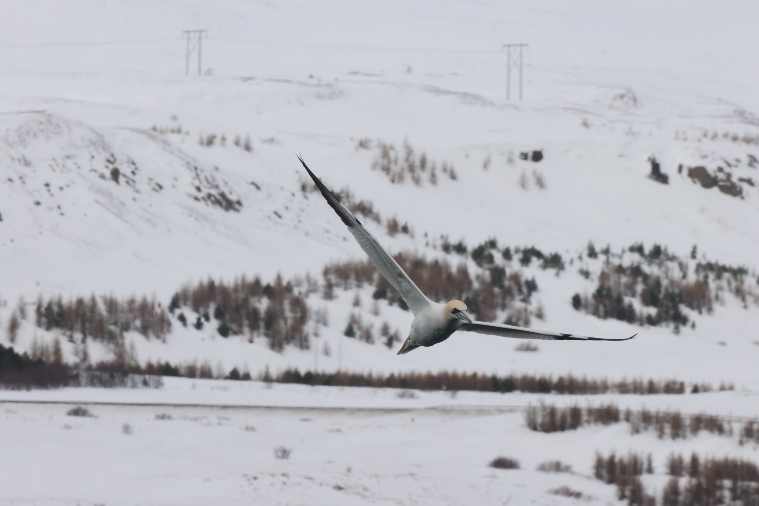 2026_04_02_0900_HOL_JACOB (34).JPG