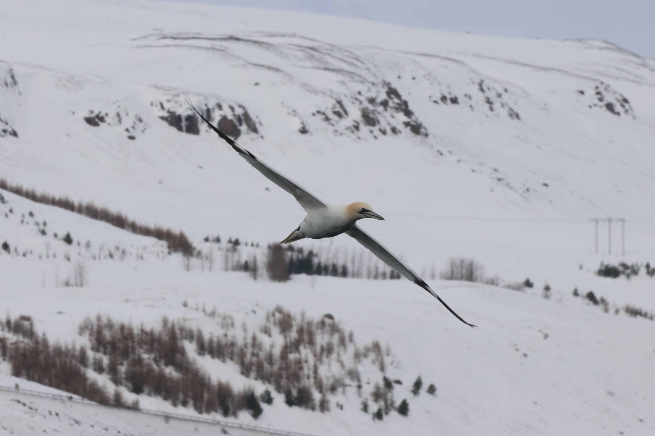 Thursday, 2 April 2026