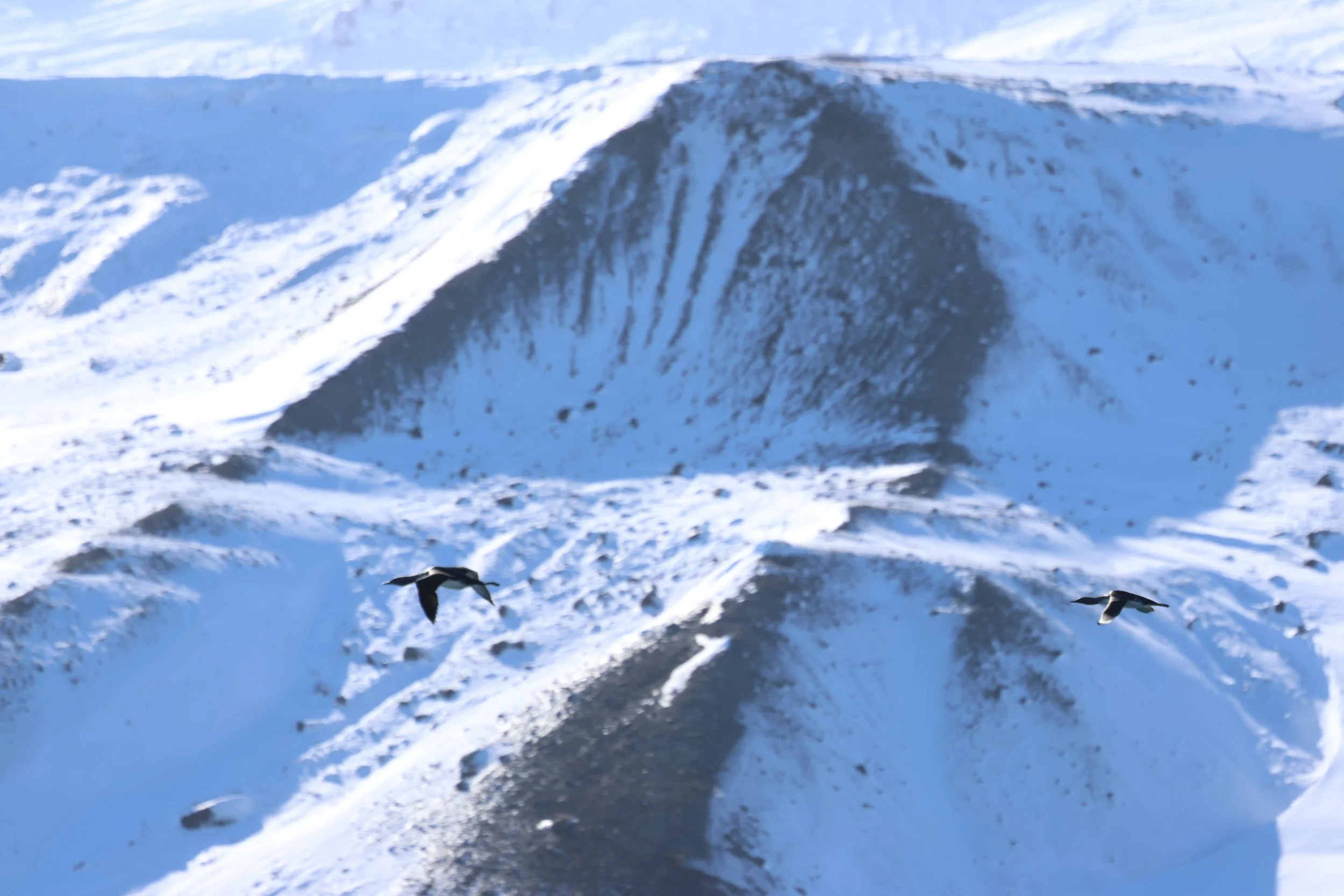 Sunday, 29 March 2026