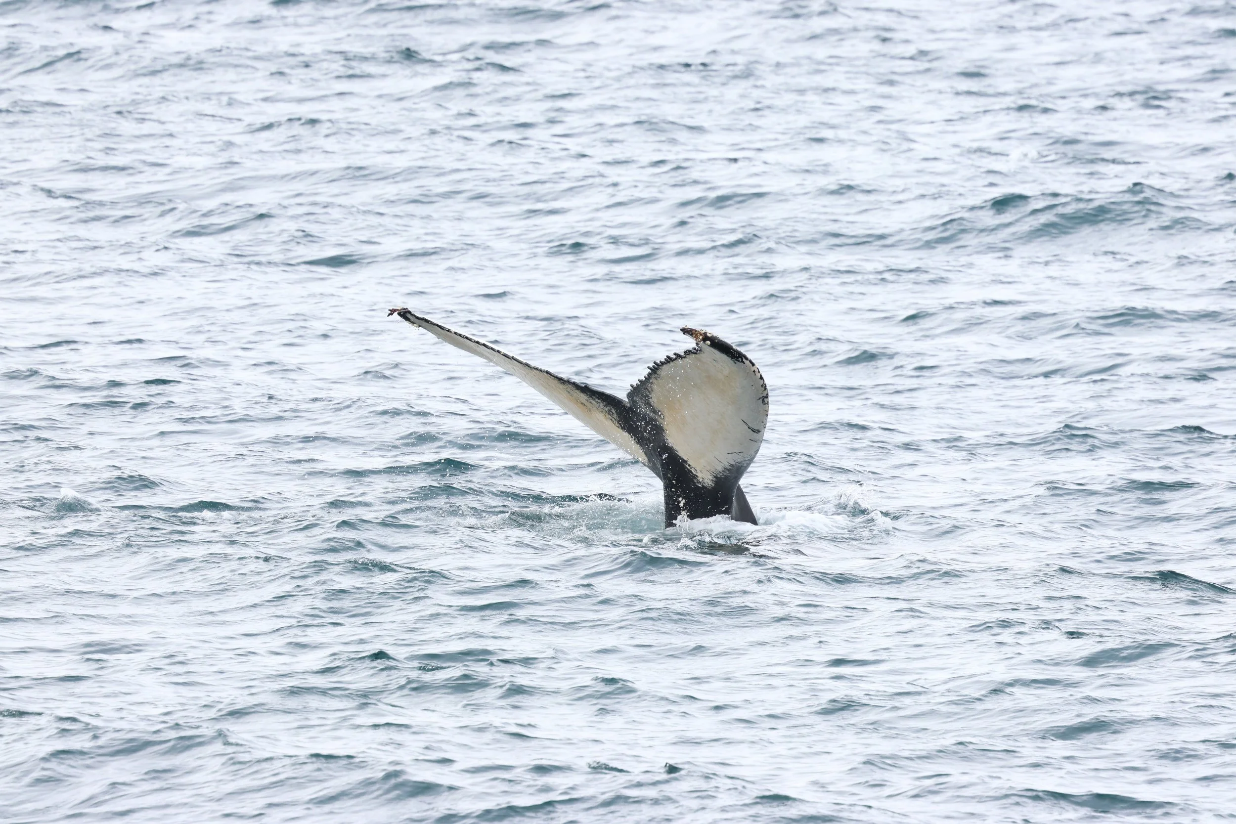 Monday, 30 March 2026