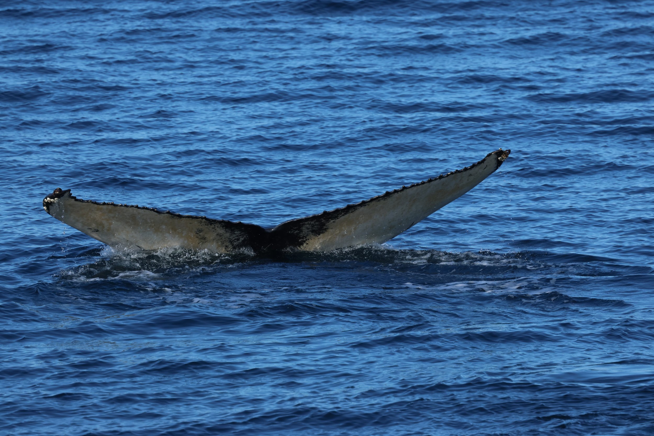 Wednesday, 1 April 2026