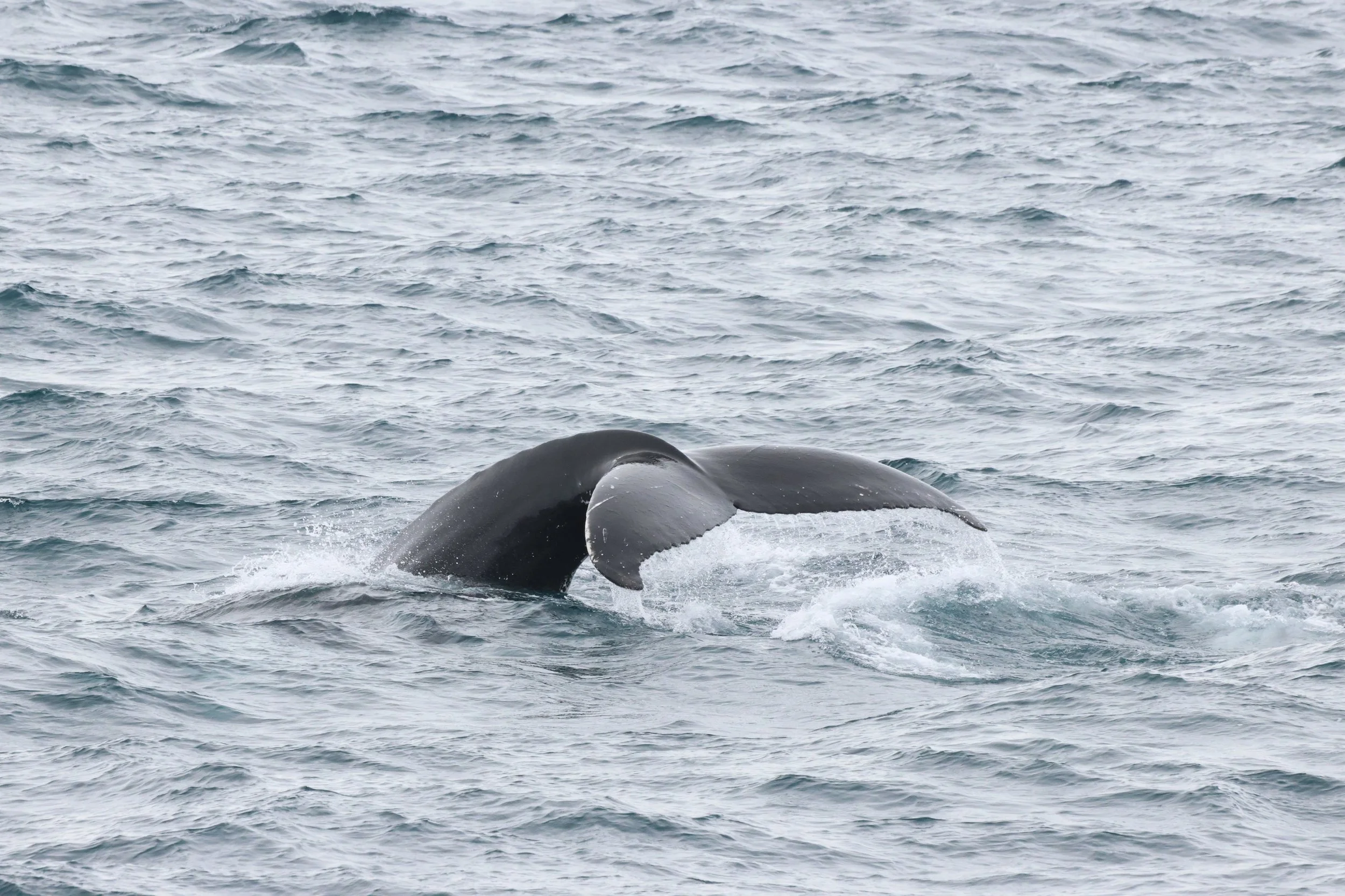 Monday, 6 April 2026