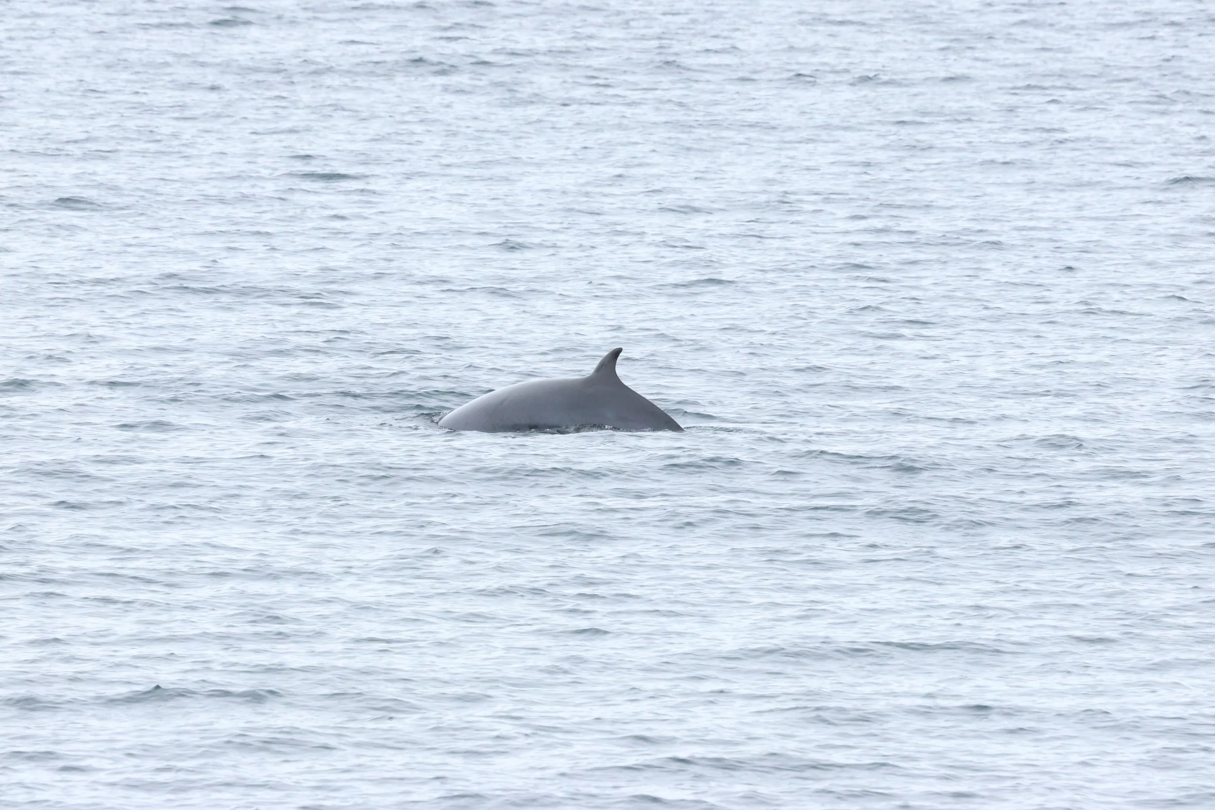 Wednesday, 8 April 2026