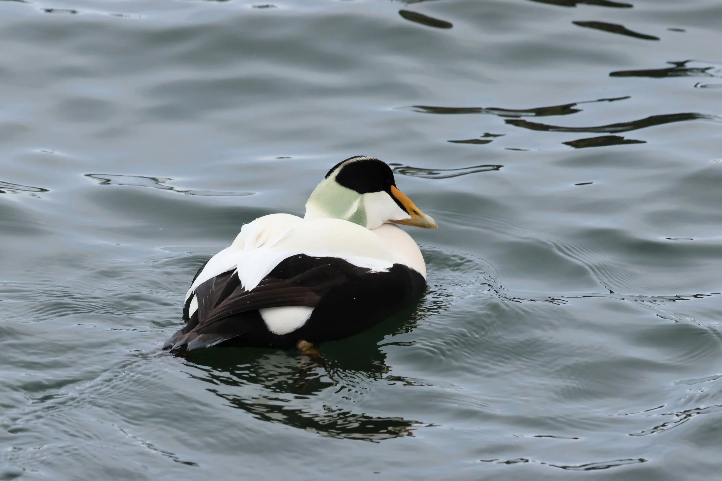 Friday, 10 April 2026