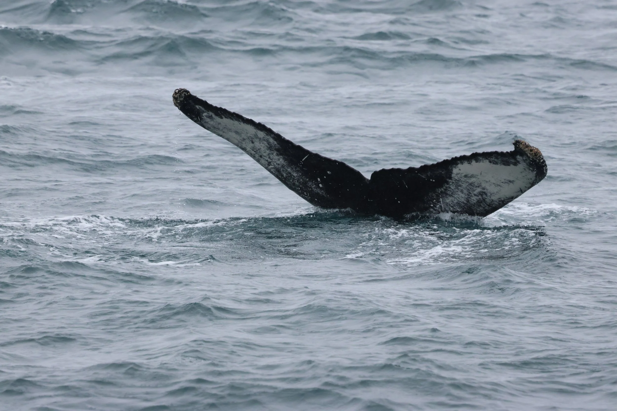 Sunday, 12 April 2026